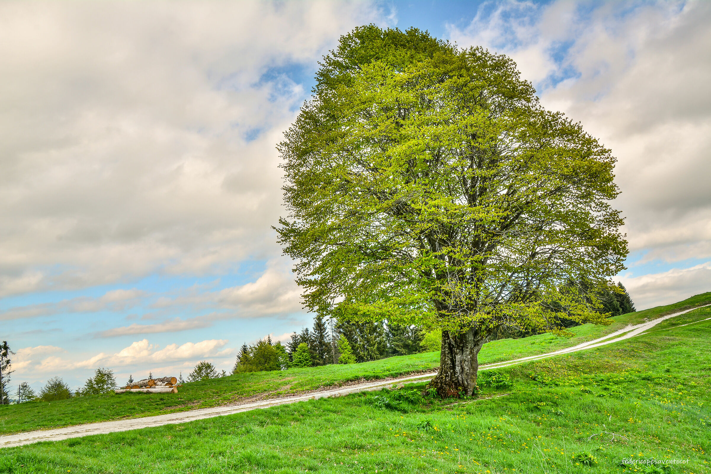 Hdr photography