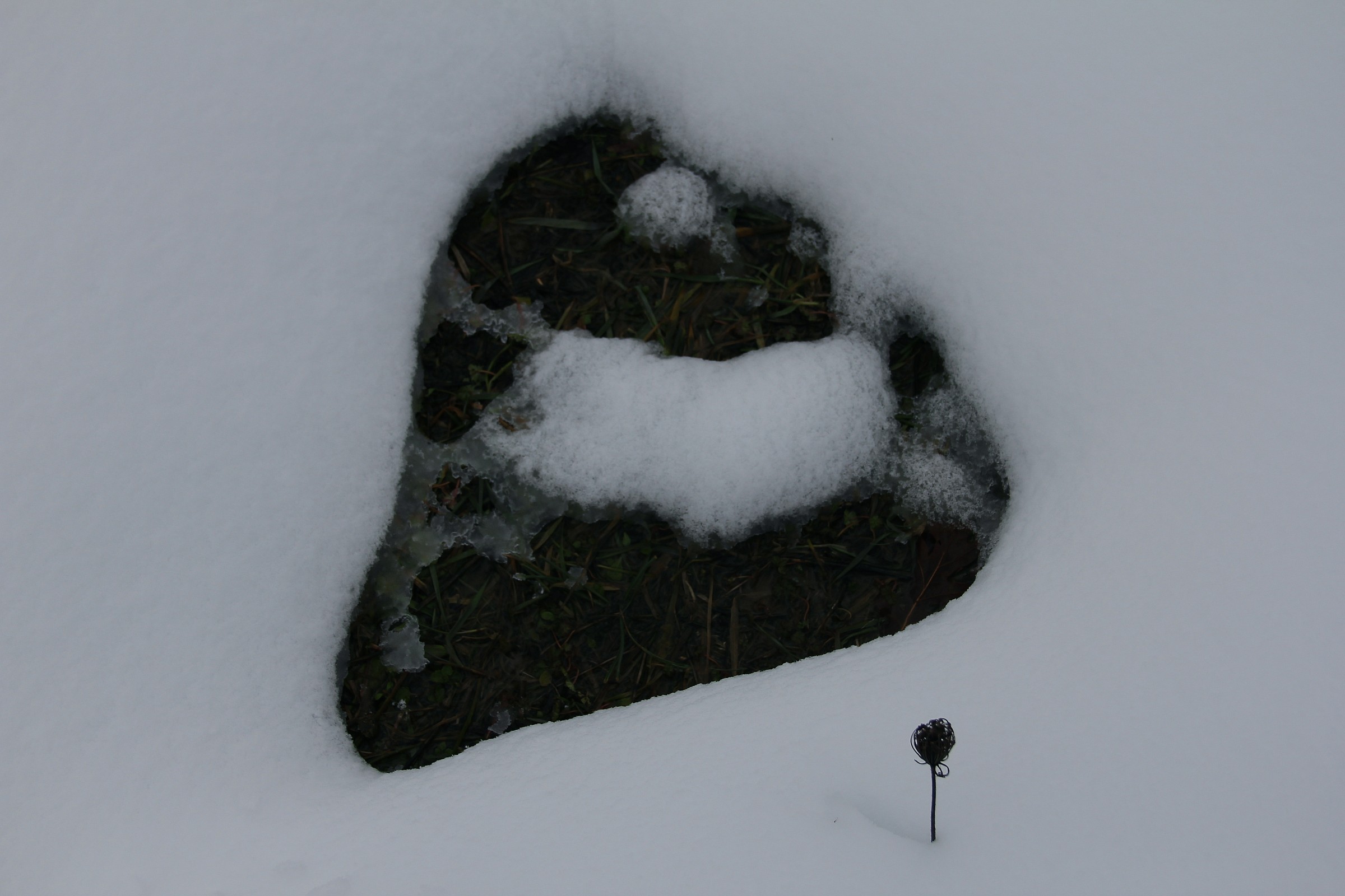heart in the snow
