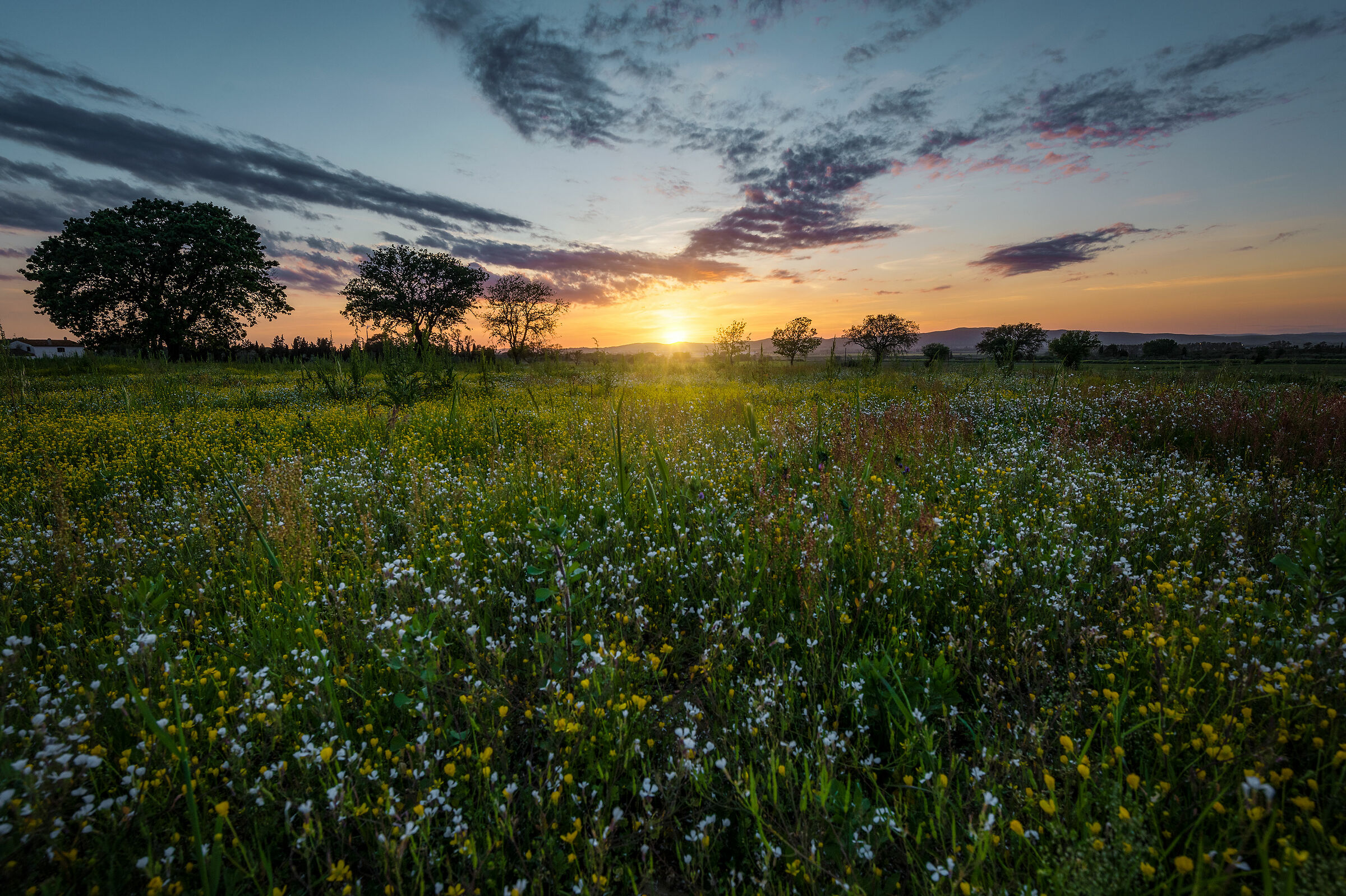 Finalmente aria aperta e primavera