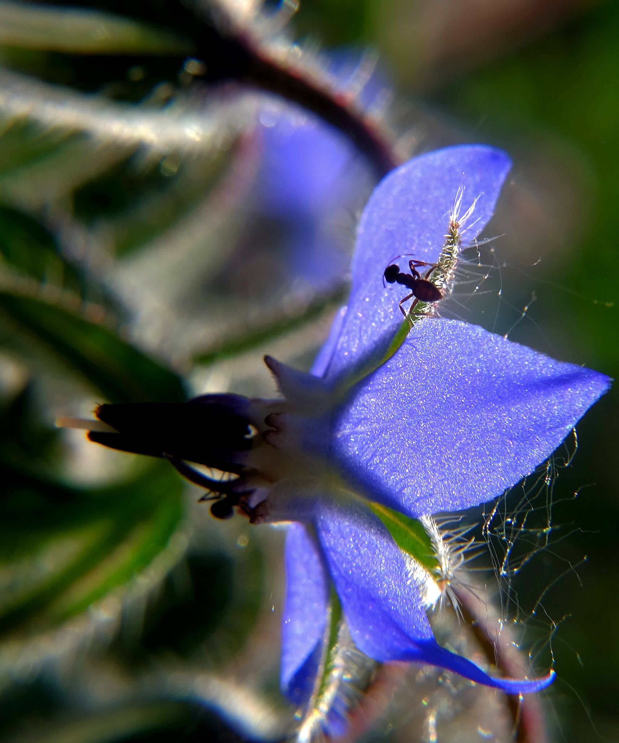 Acrobatic construction