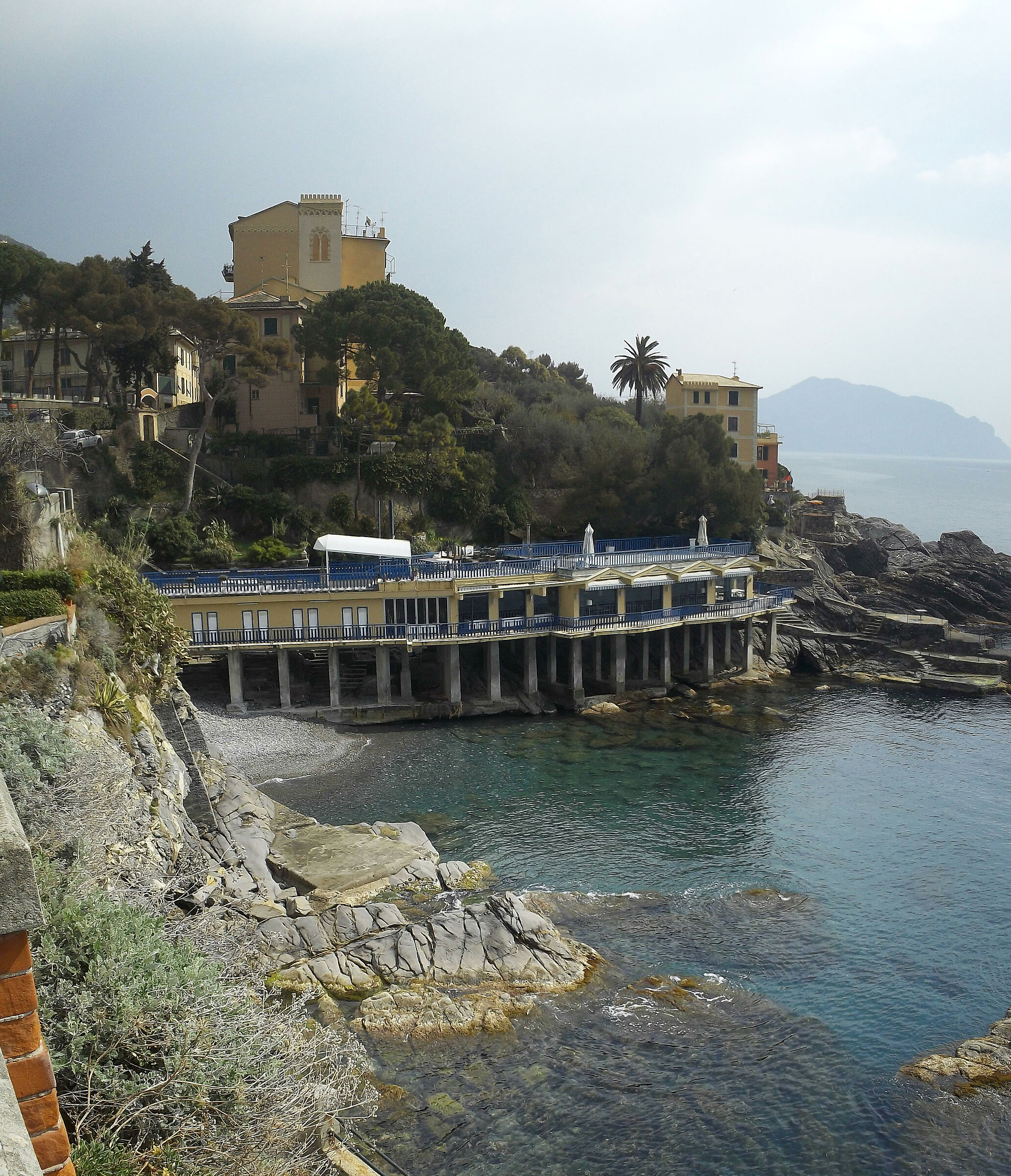 Bogliasco