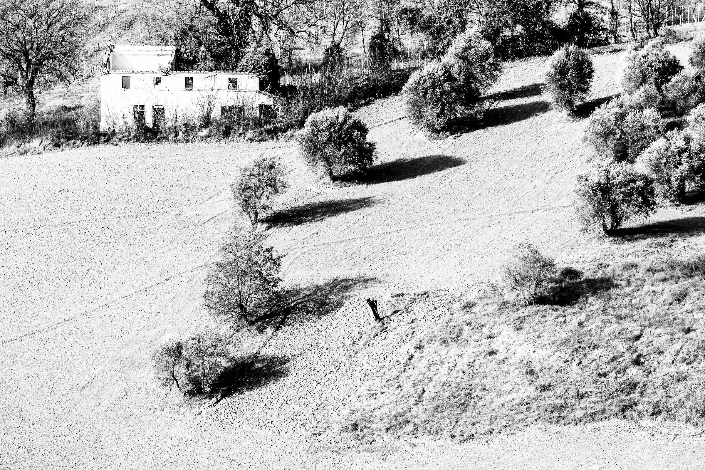 Colline intorno (nord)