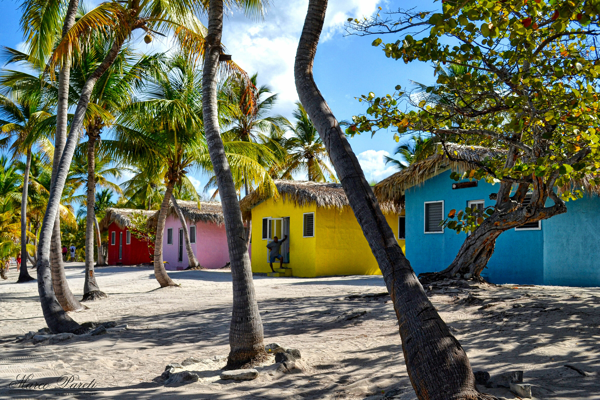 Catalina, the colors ...