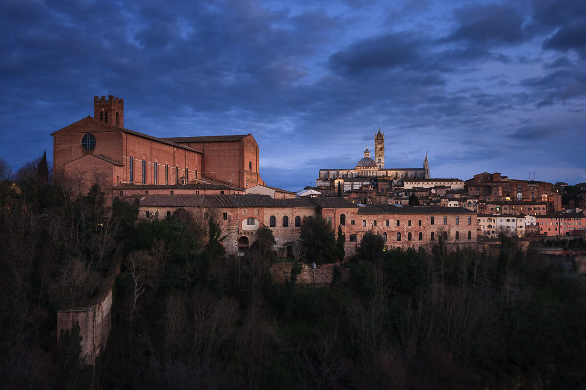 Cor magis tibi Sena pandit ...