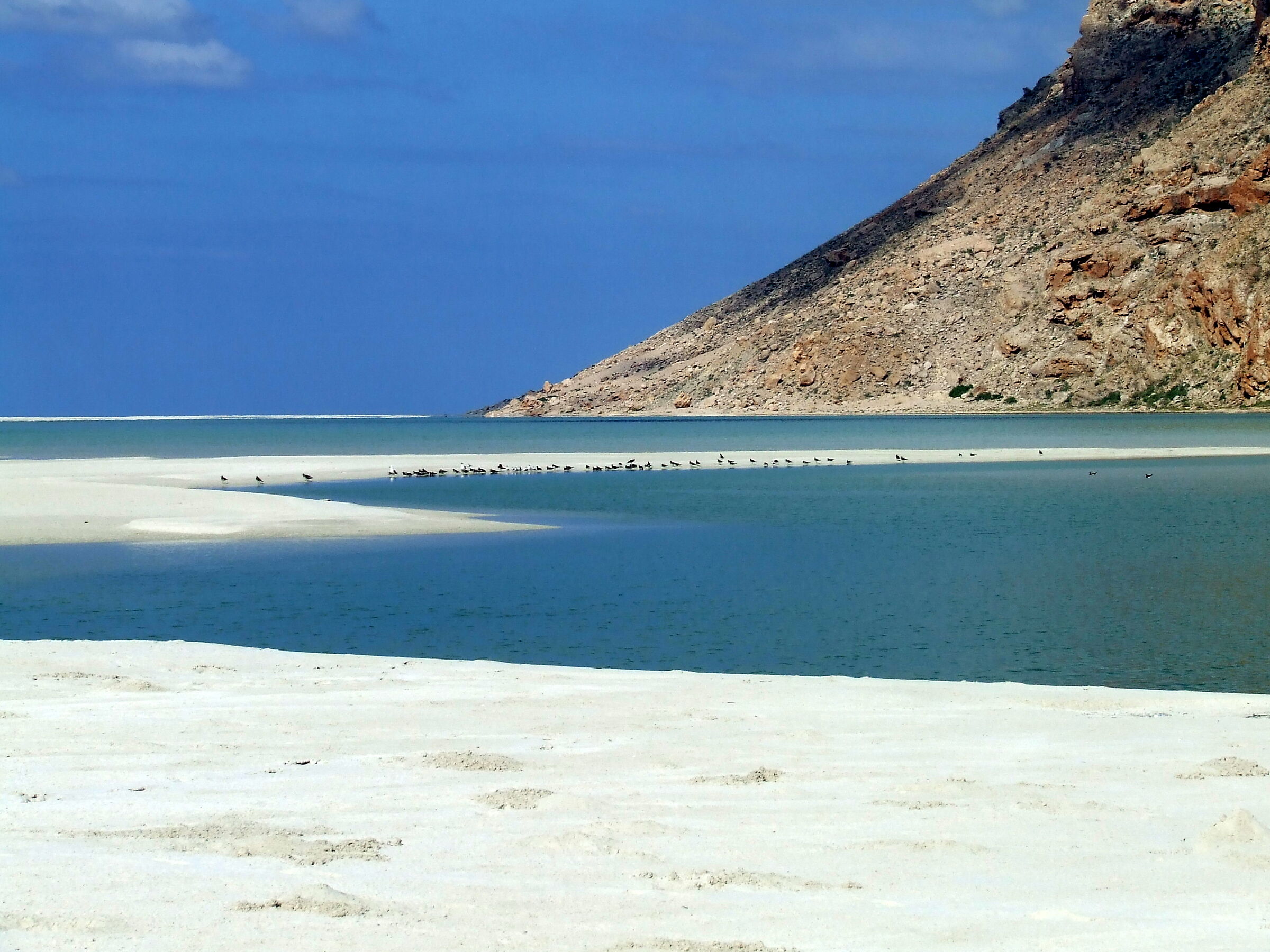 socotra - spiaggia 3