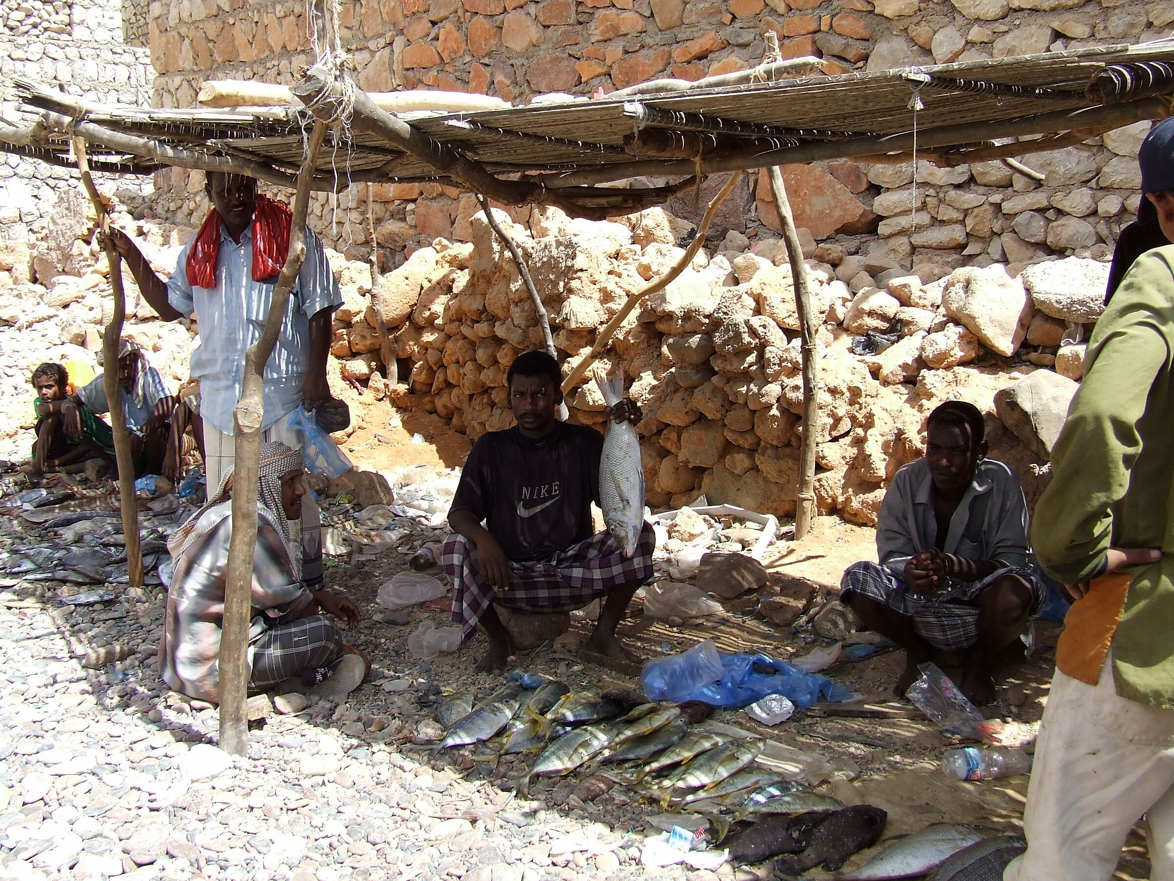 socotra - mercato pesce