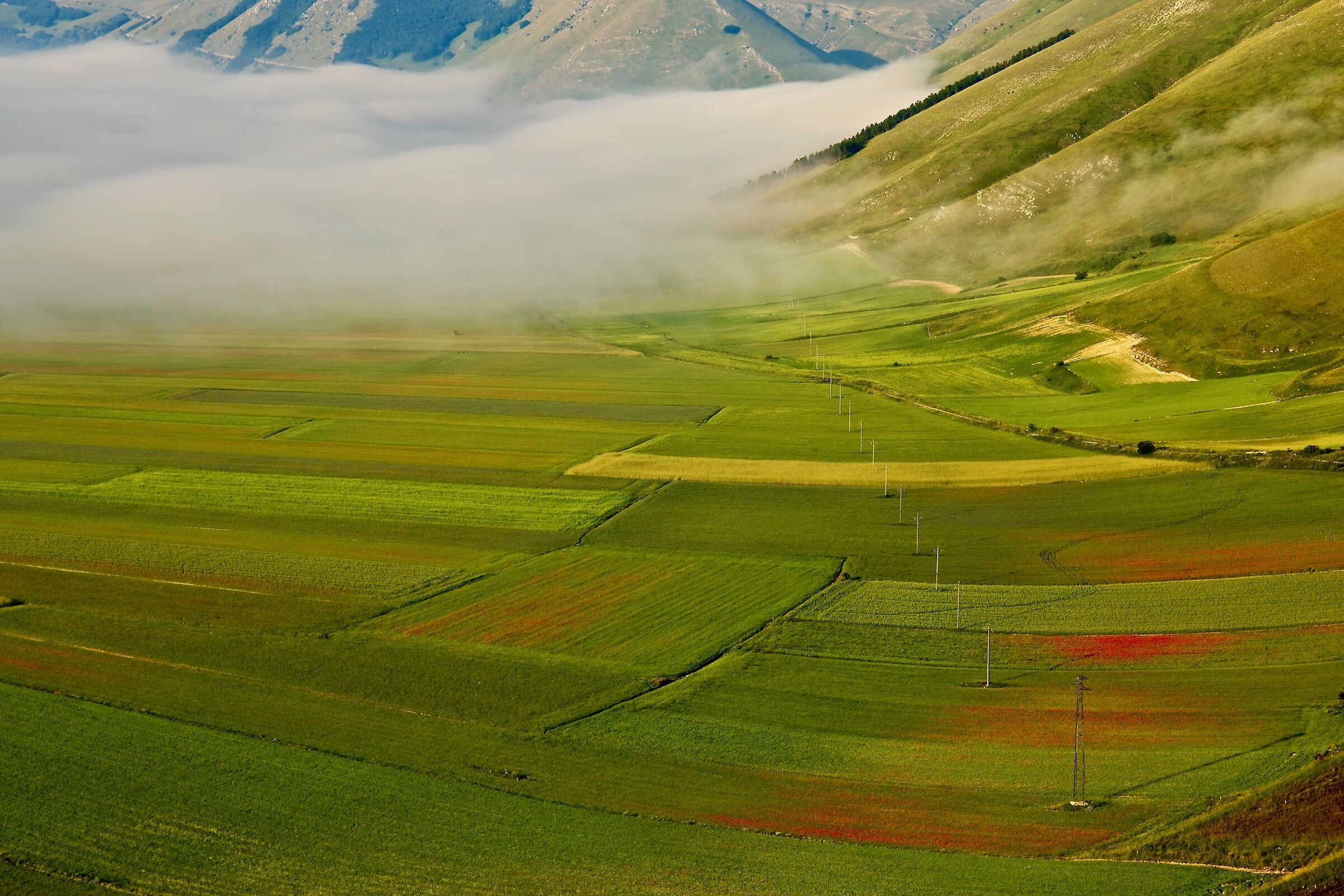 Il sogno continua....