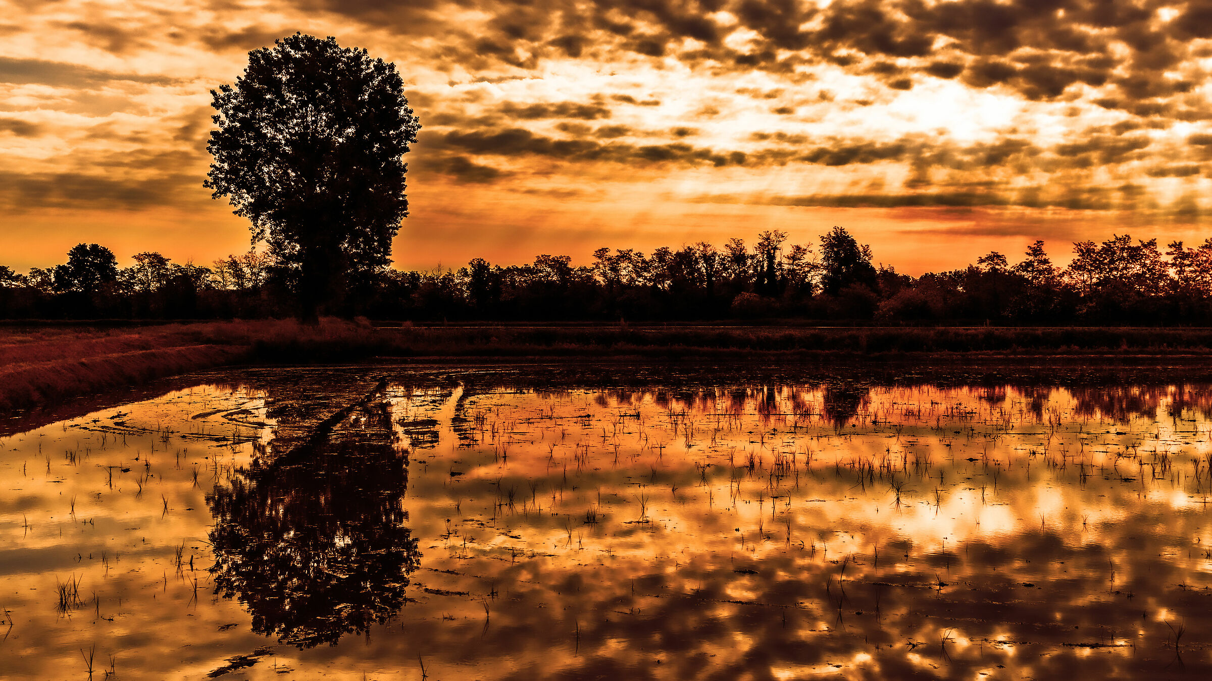Riflessi all'alba (Prima uscita)