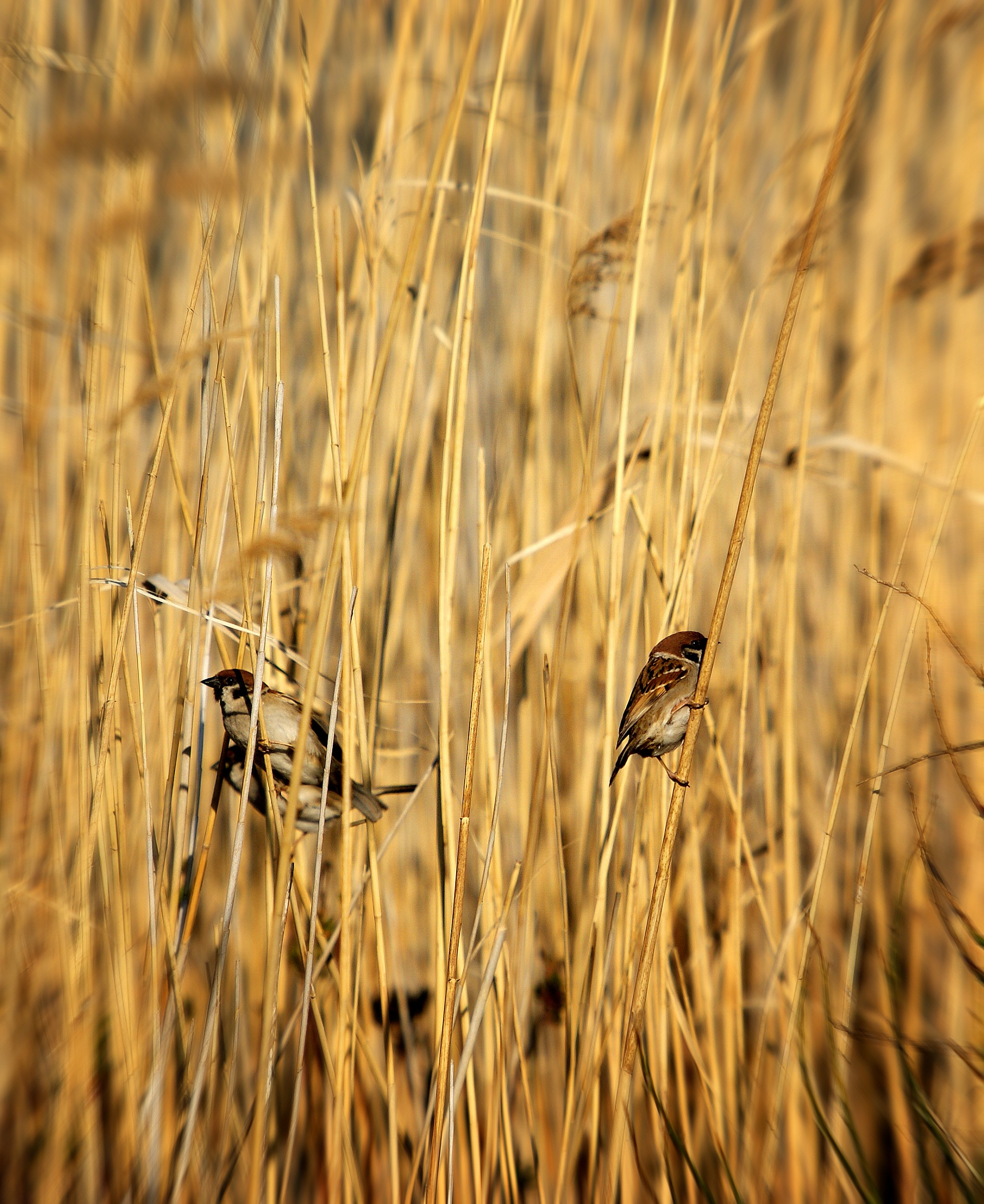 quanto mi diverto!!!