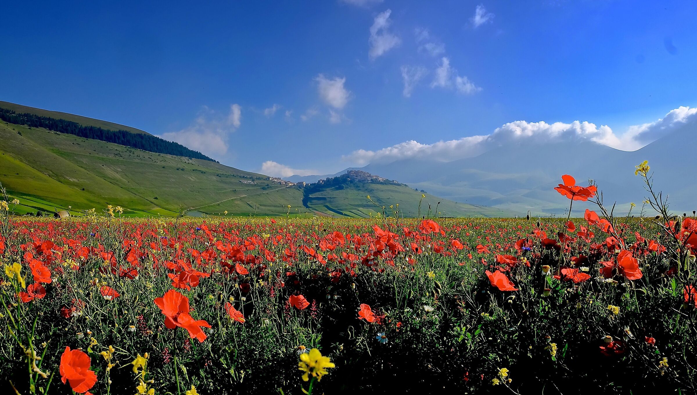 Ah.. Castelluccio!