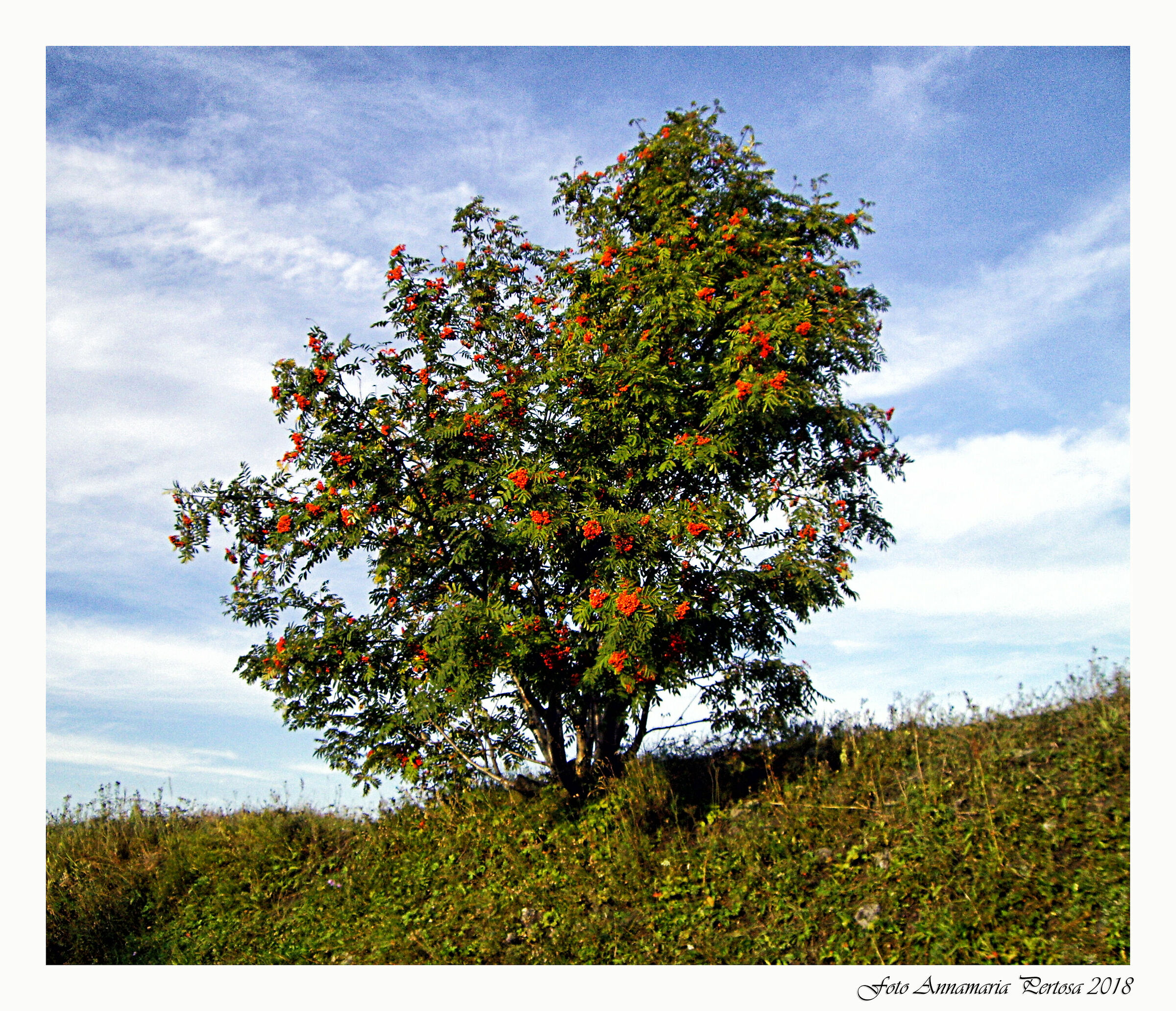 Uglič e il suo albergo di Melograno