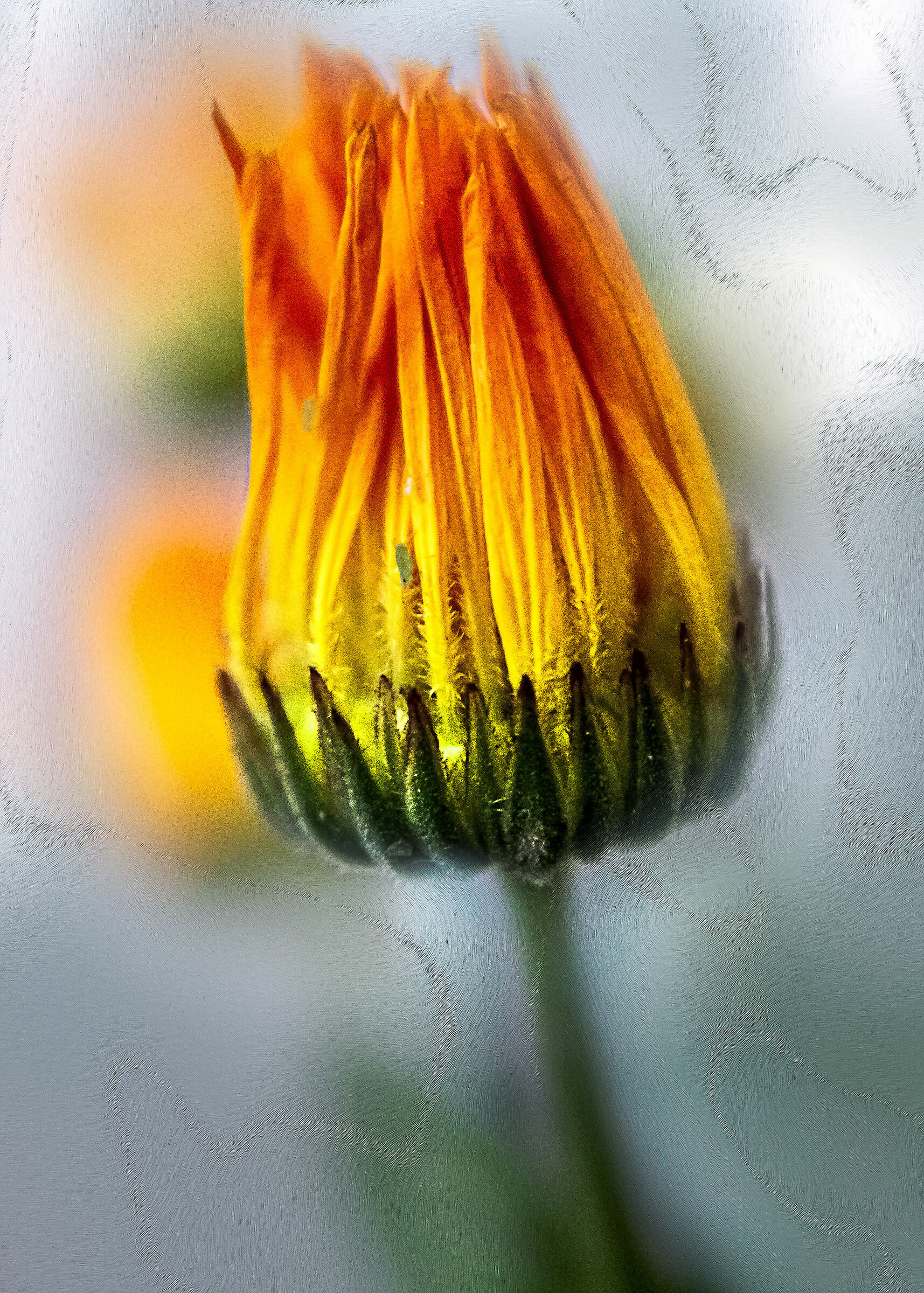 between fiction and reality