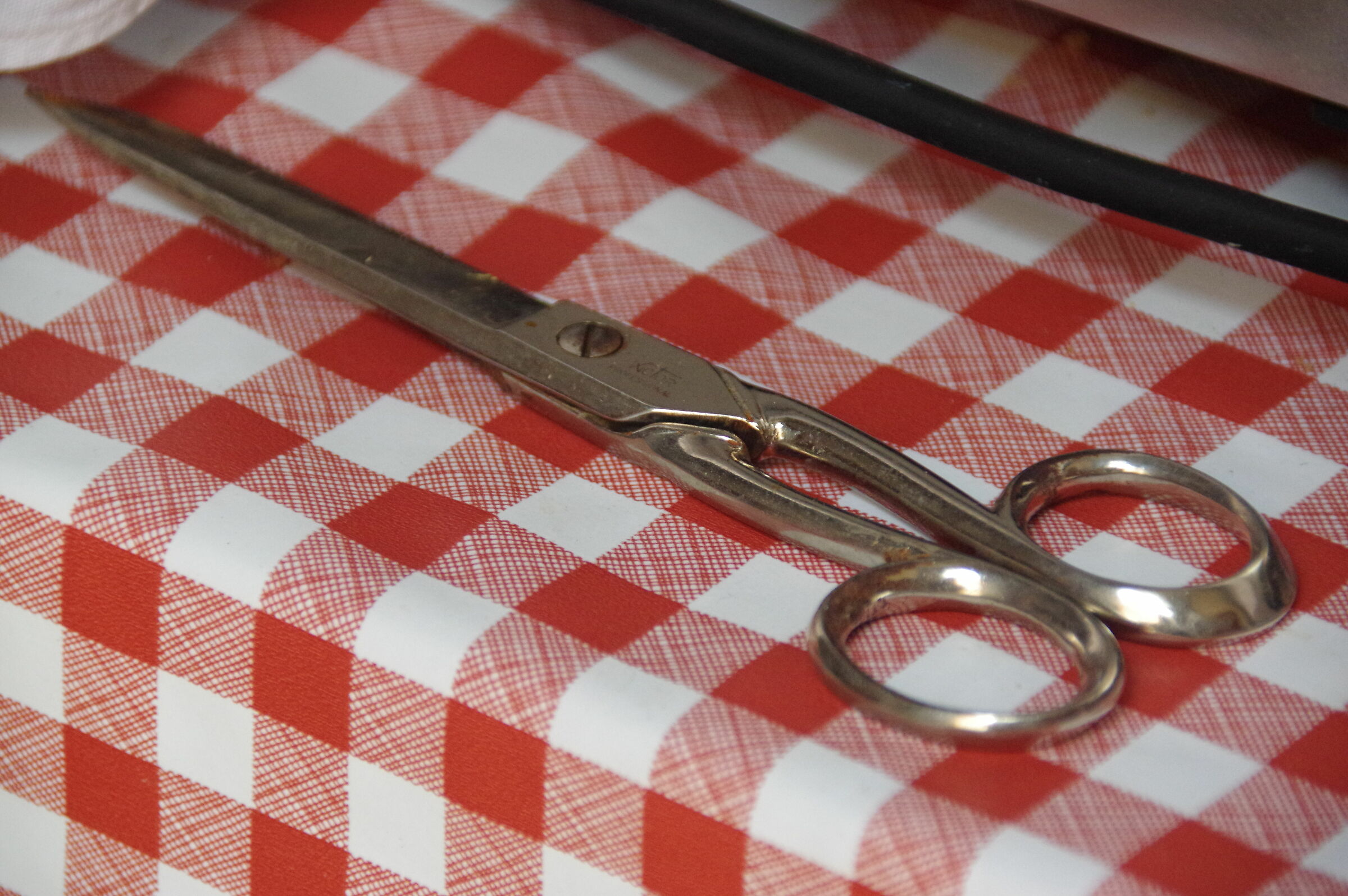 Curiosando in cucina