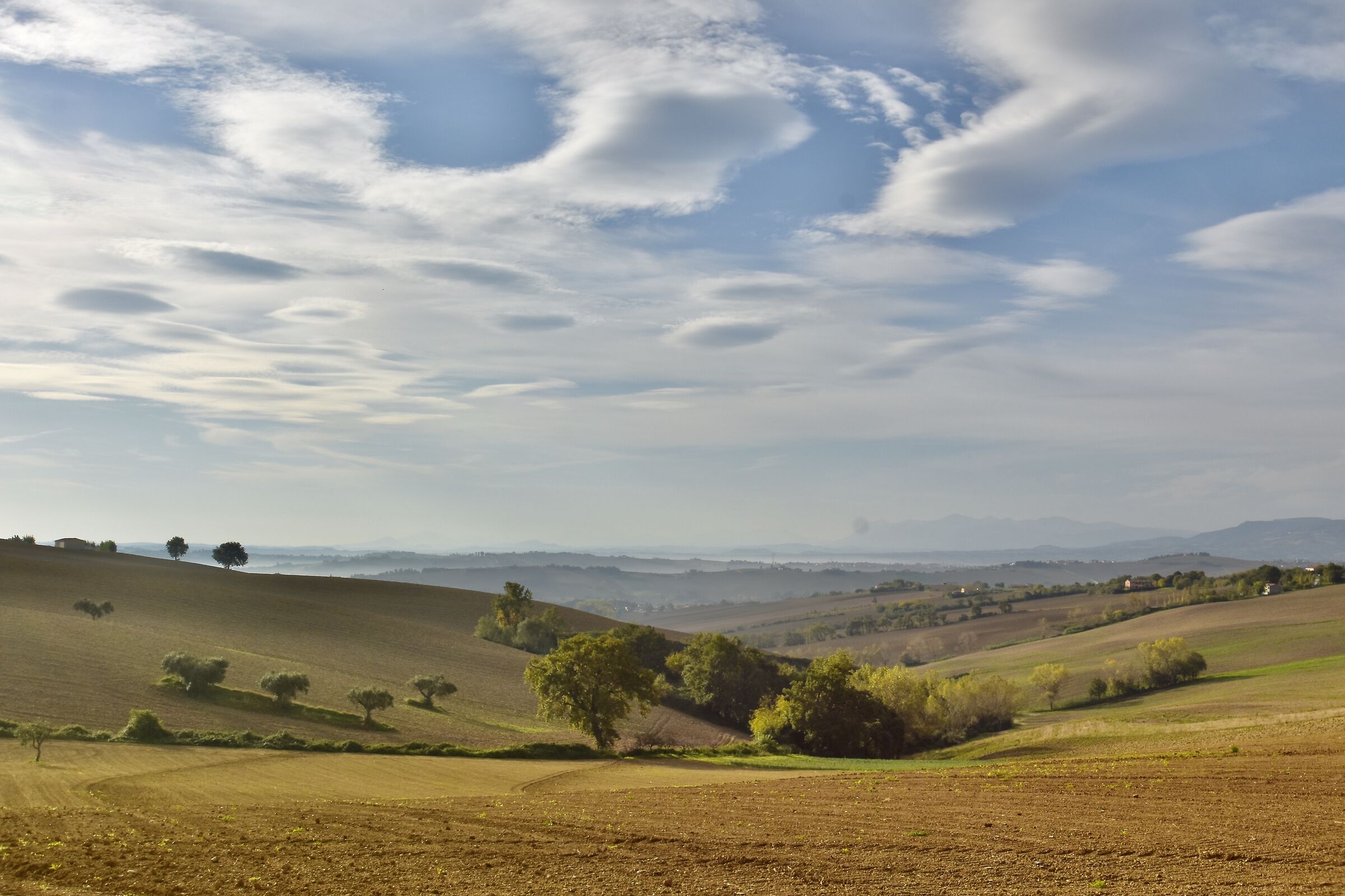 #visitMarche