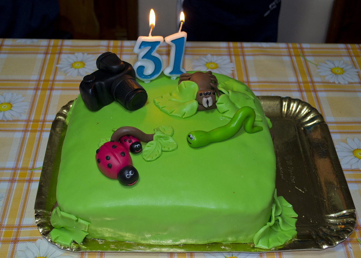 Birthday cake sugar paste