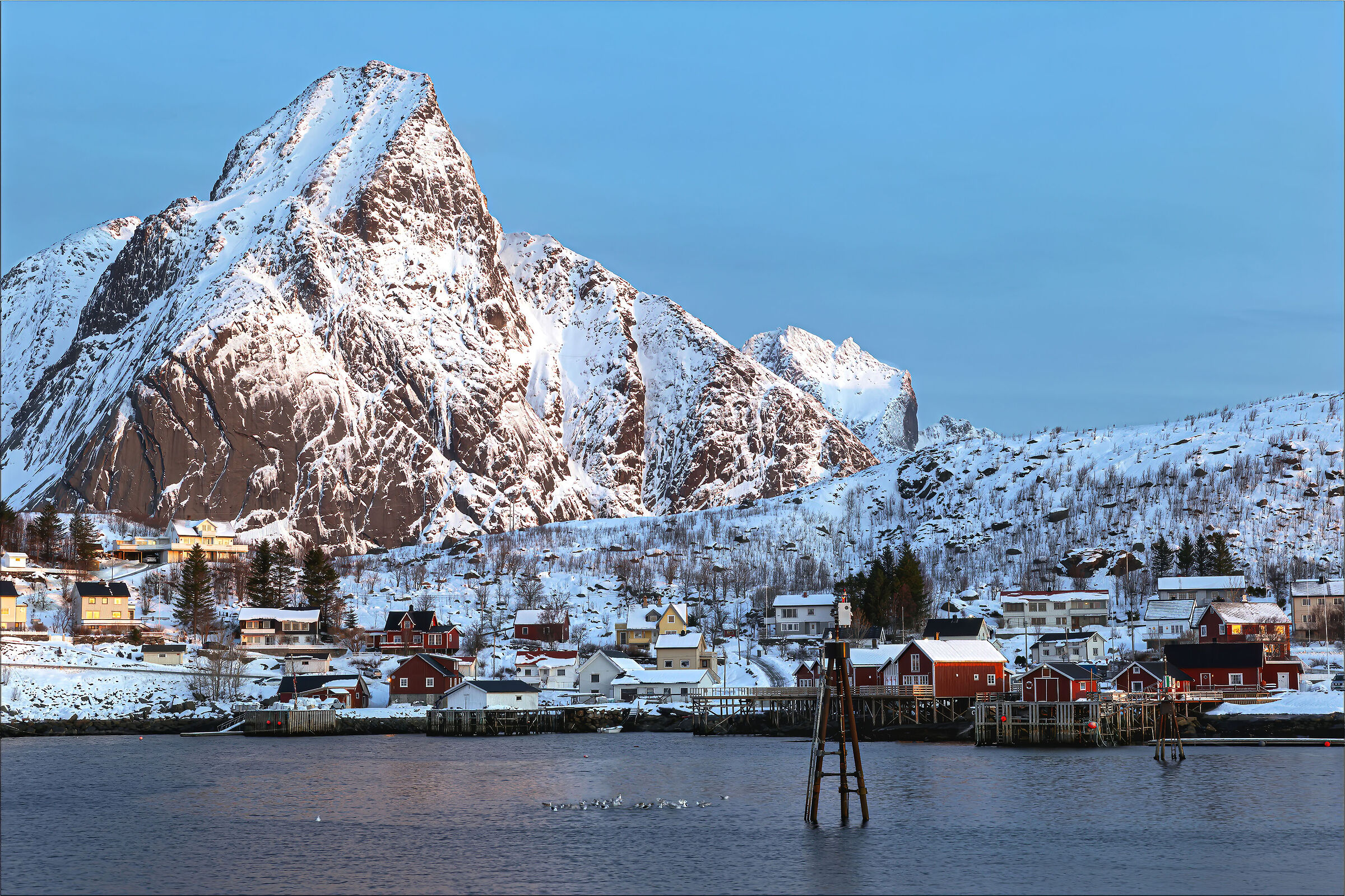Reine