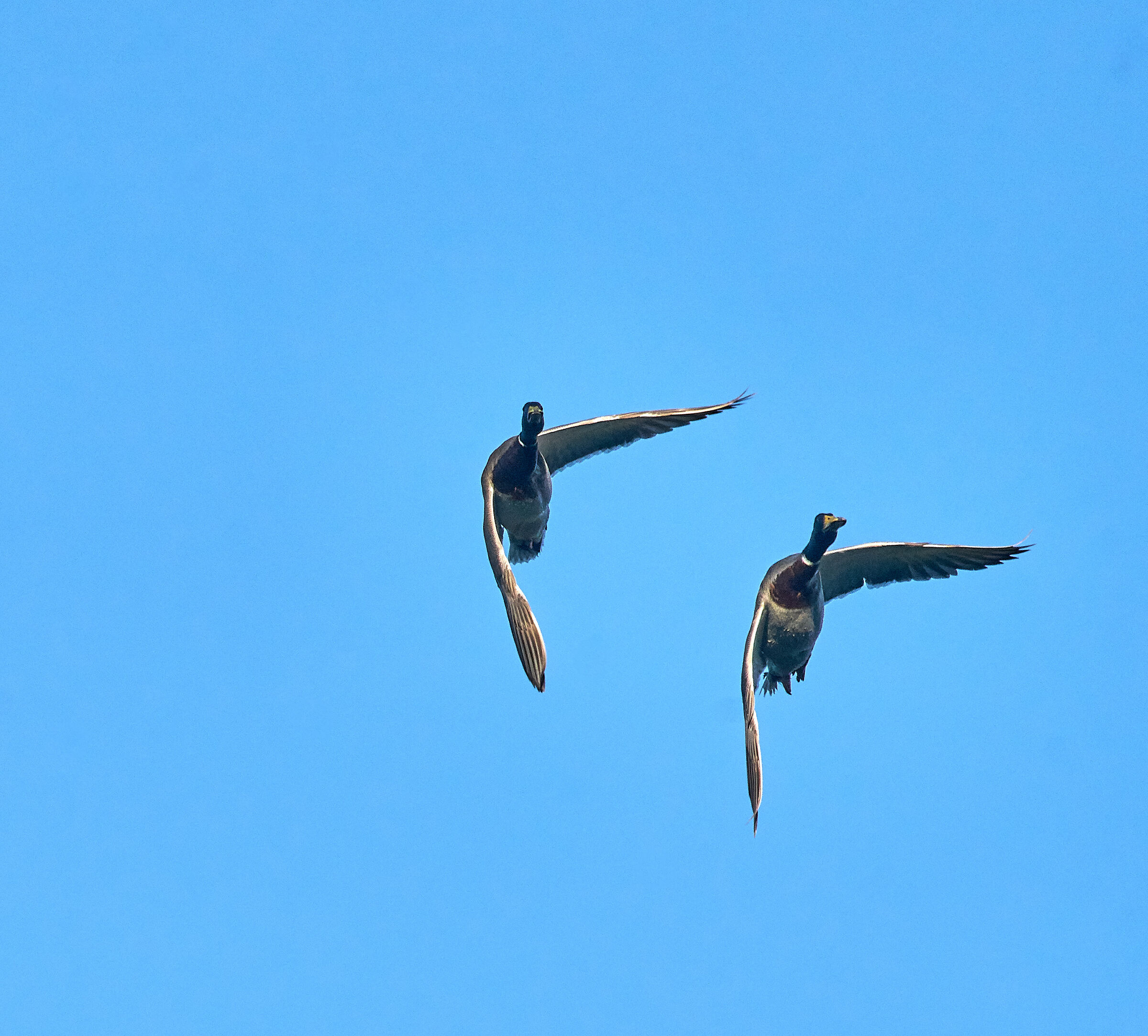 Guys! Make a turn...