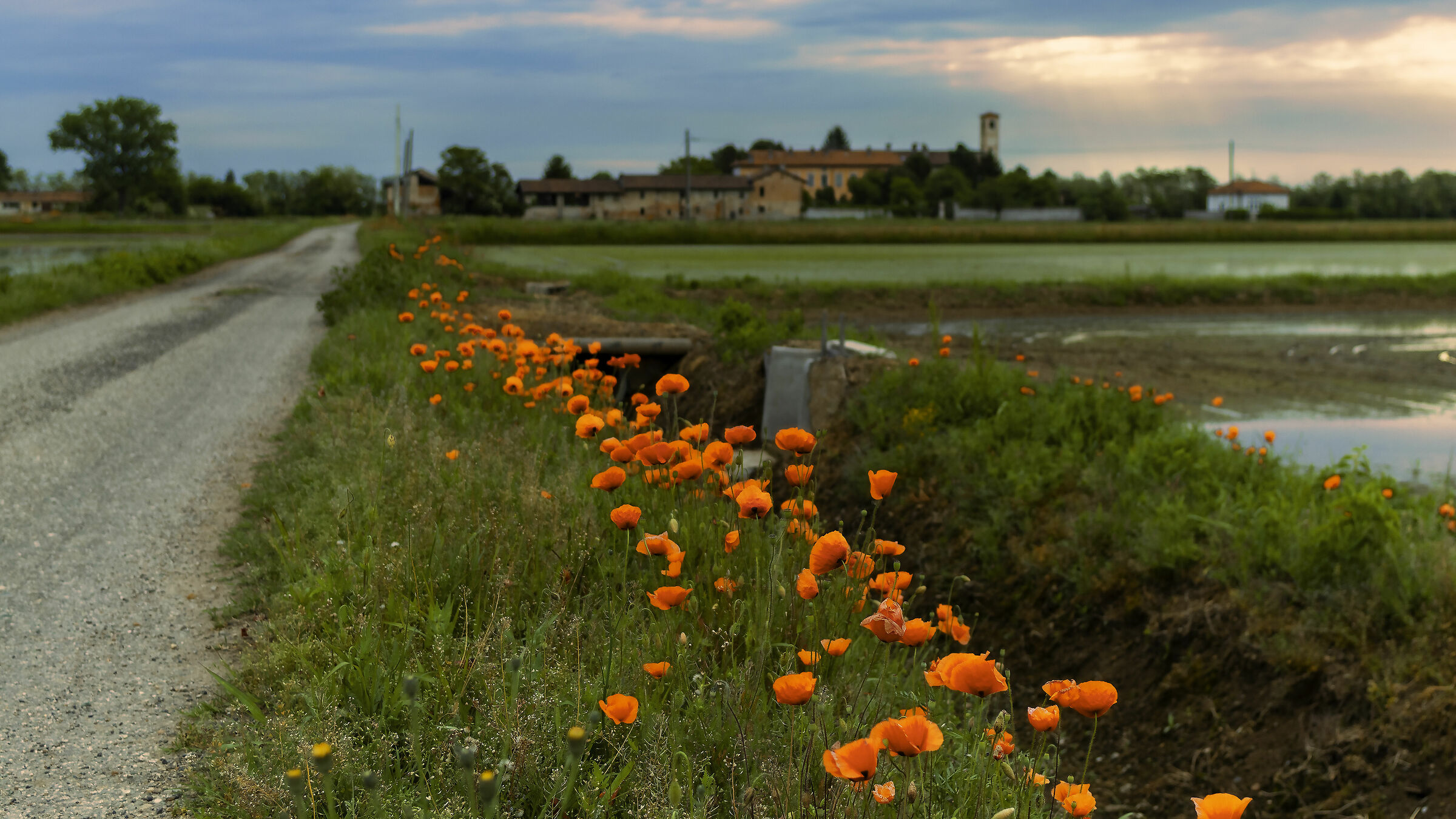 Una giornata qualunque