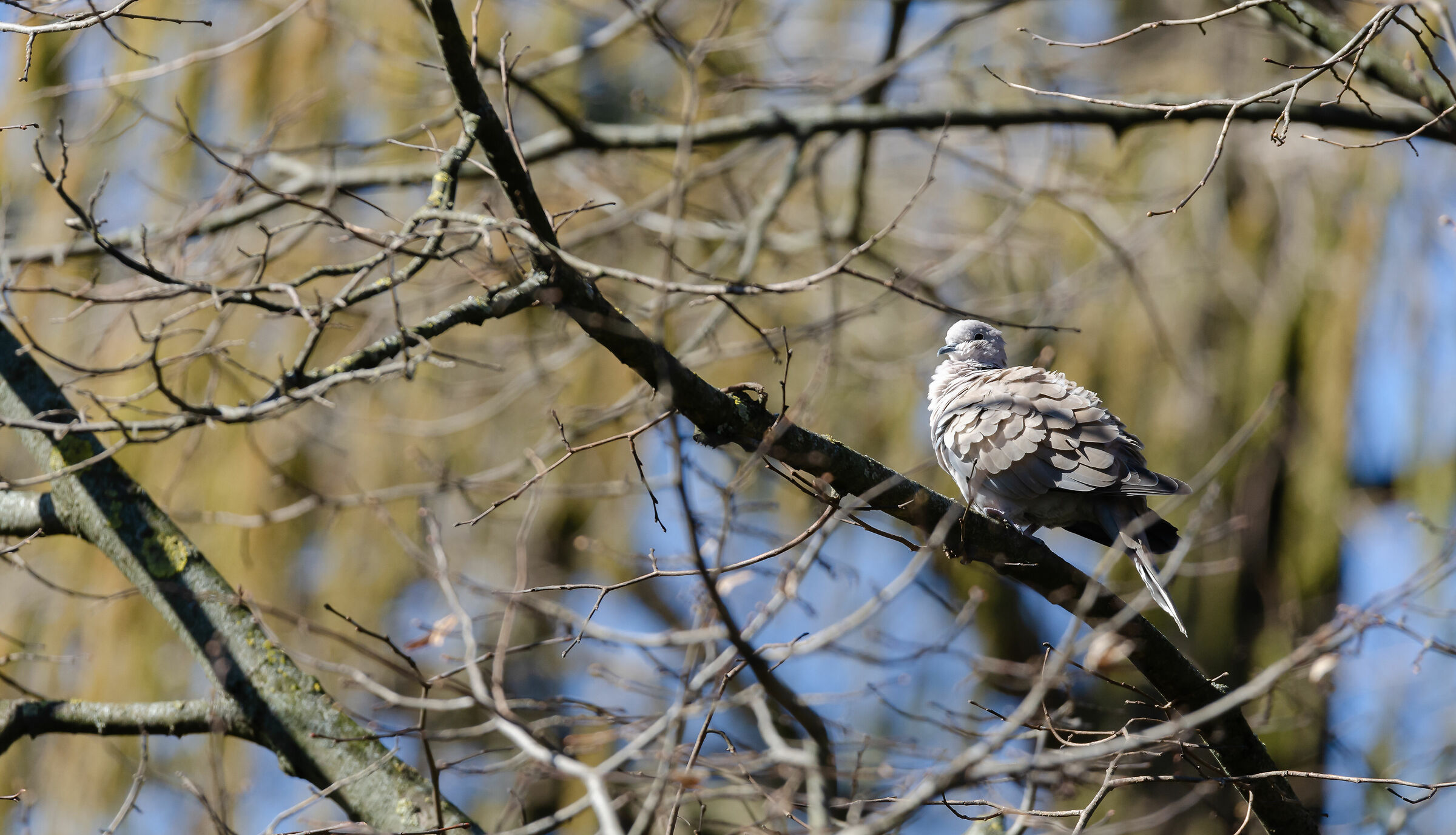 Godiamoci un pò di sole