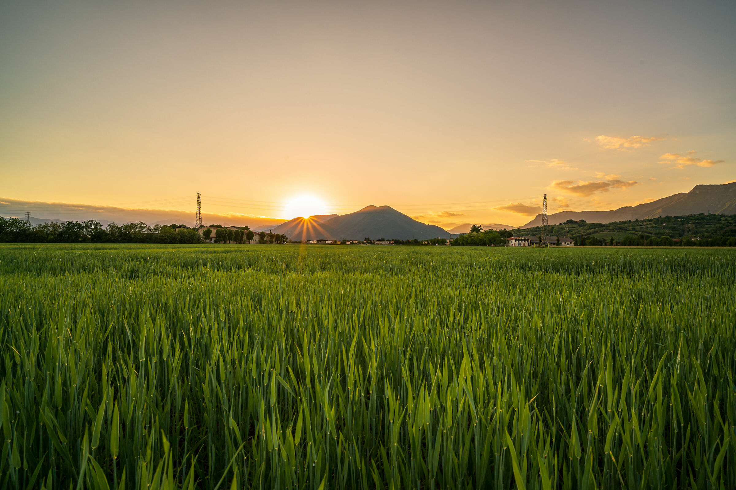 The simplicity of a sunset