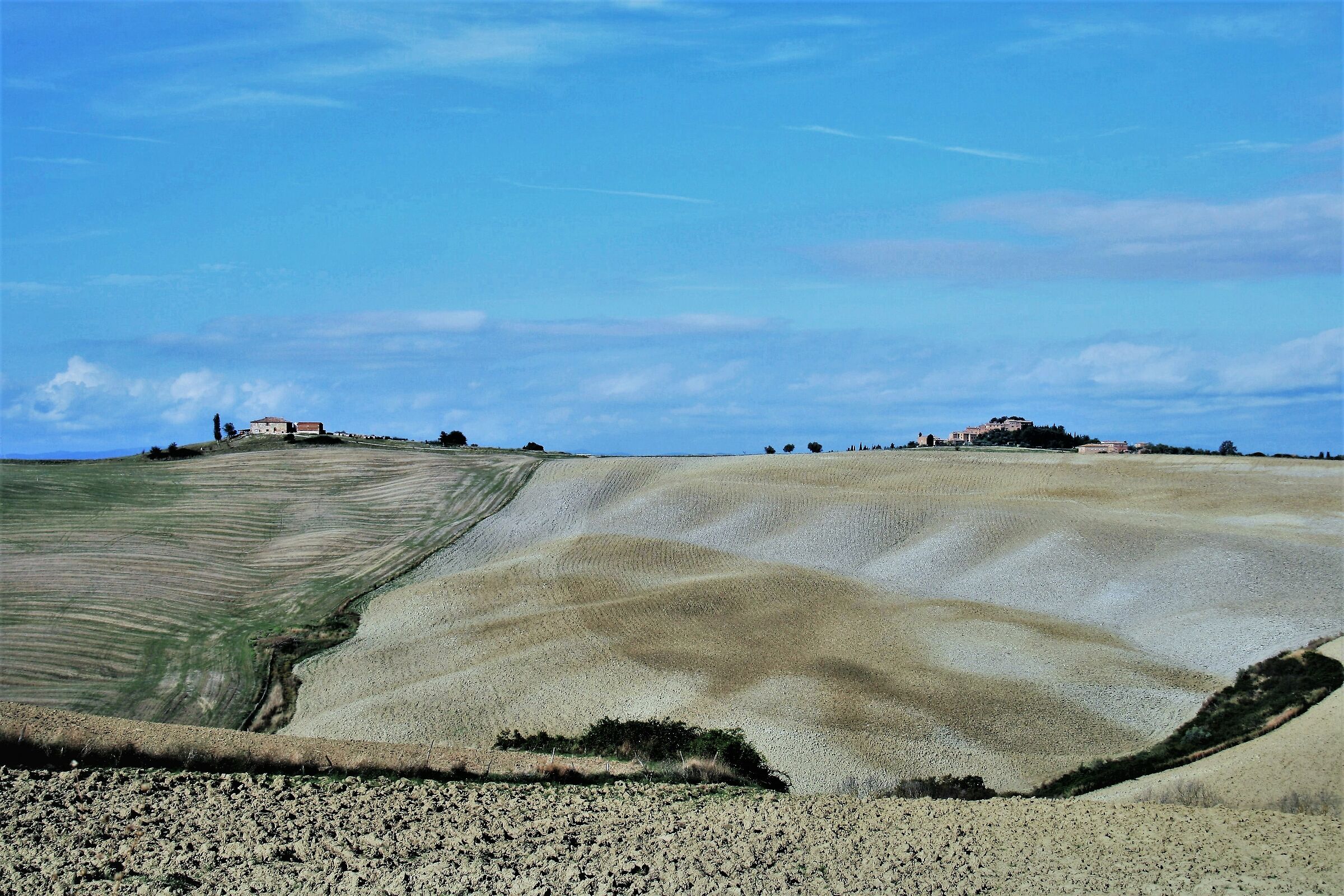 Campagna senese vicino a Pienza