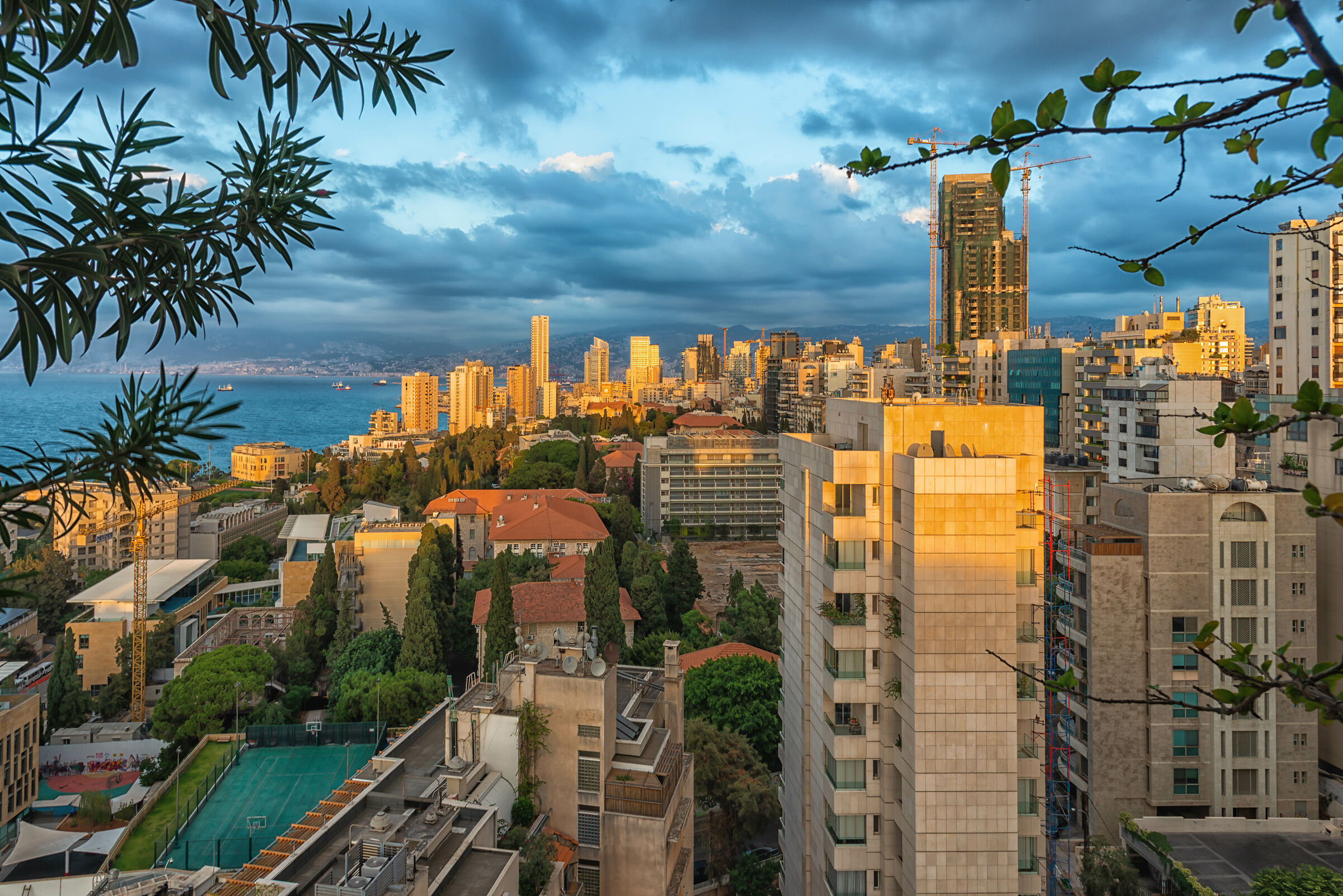 From Our Home at Lockdown