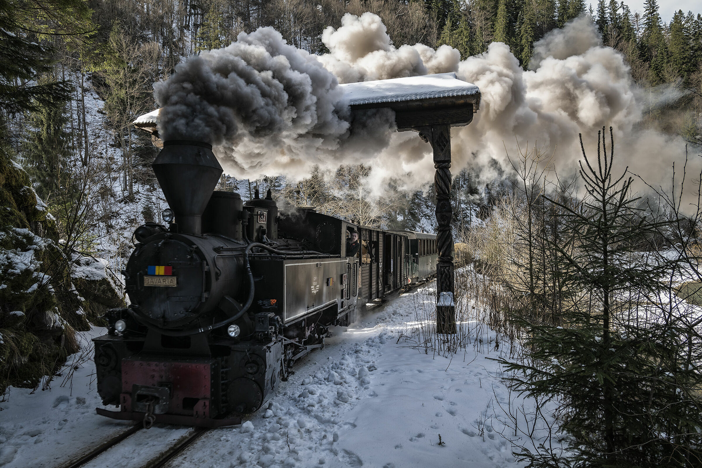 Nocanita - Tipica porta in Maramures
