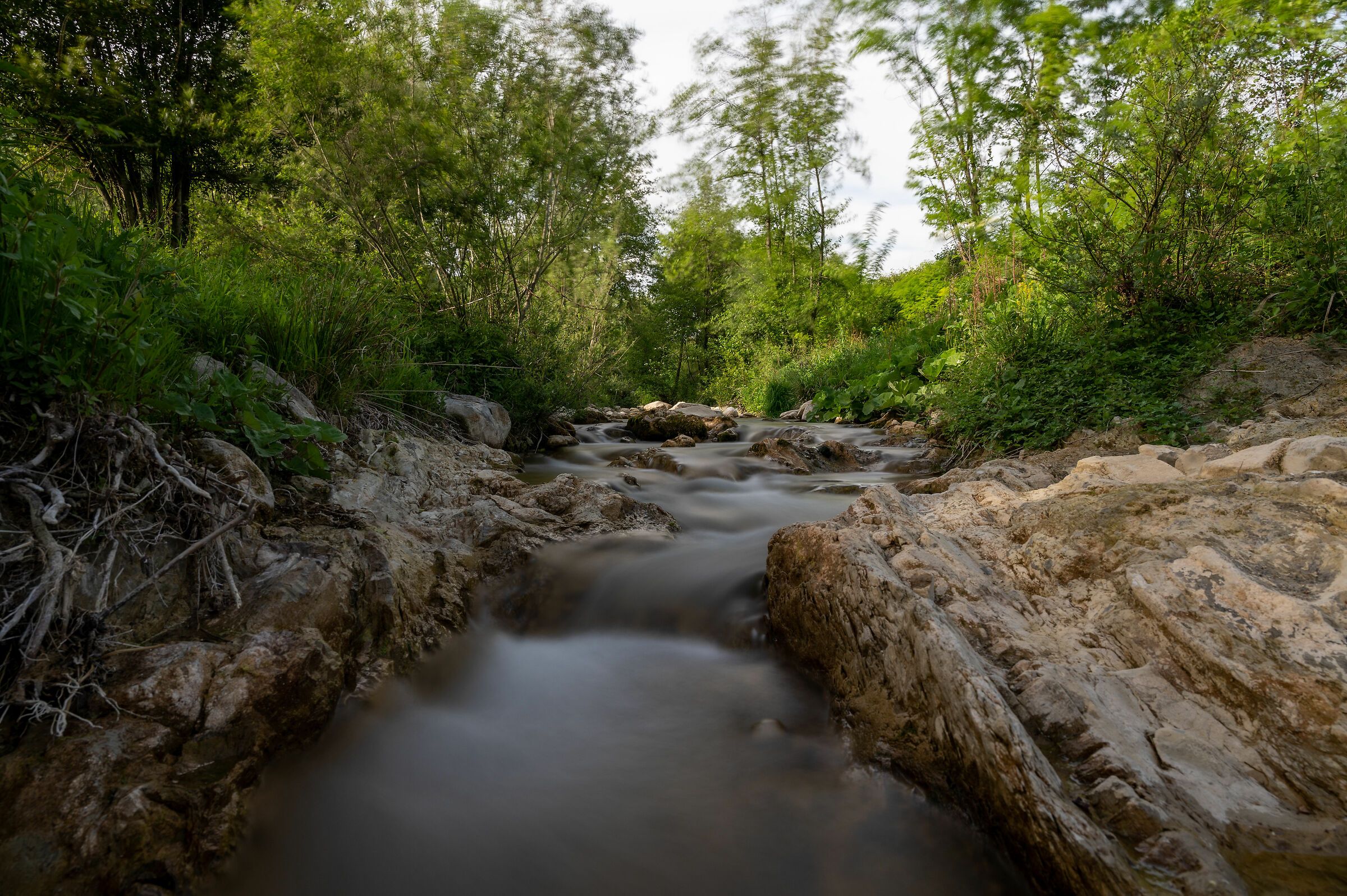 il ruscello dei sogni