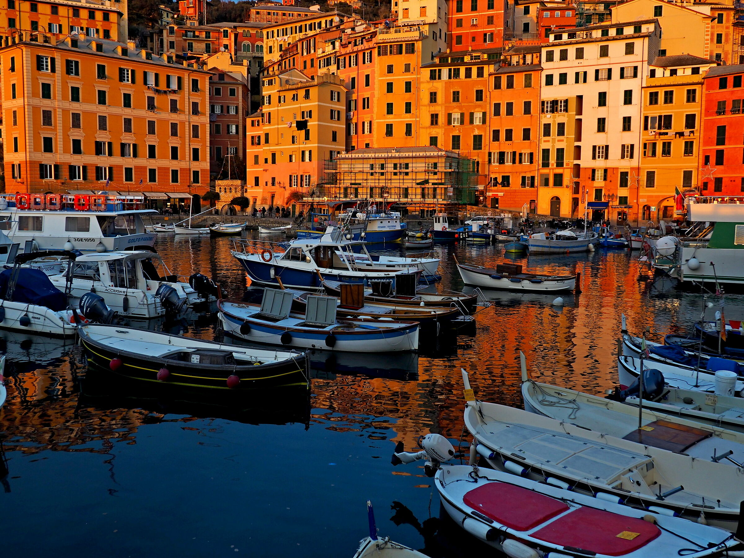 Camogli