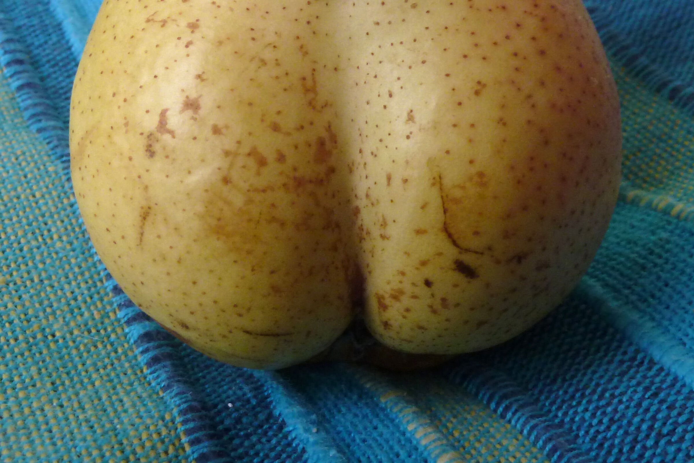 an o pear of art