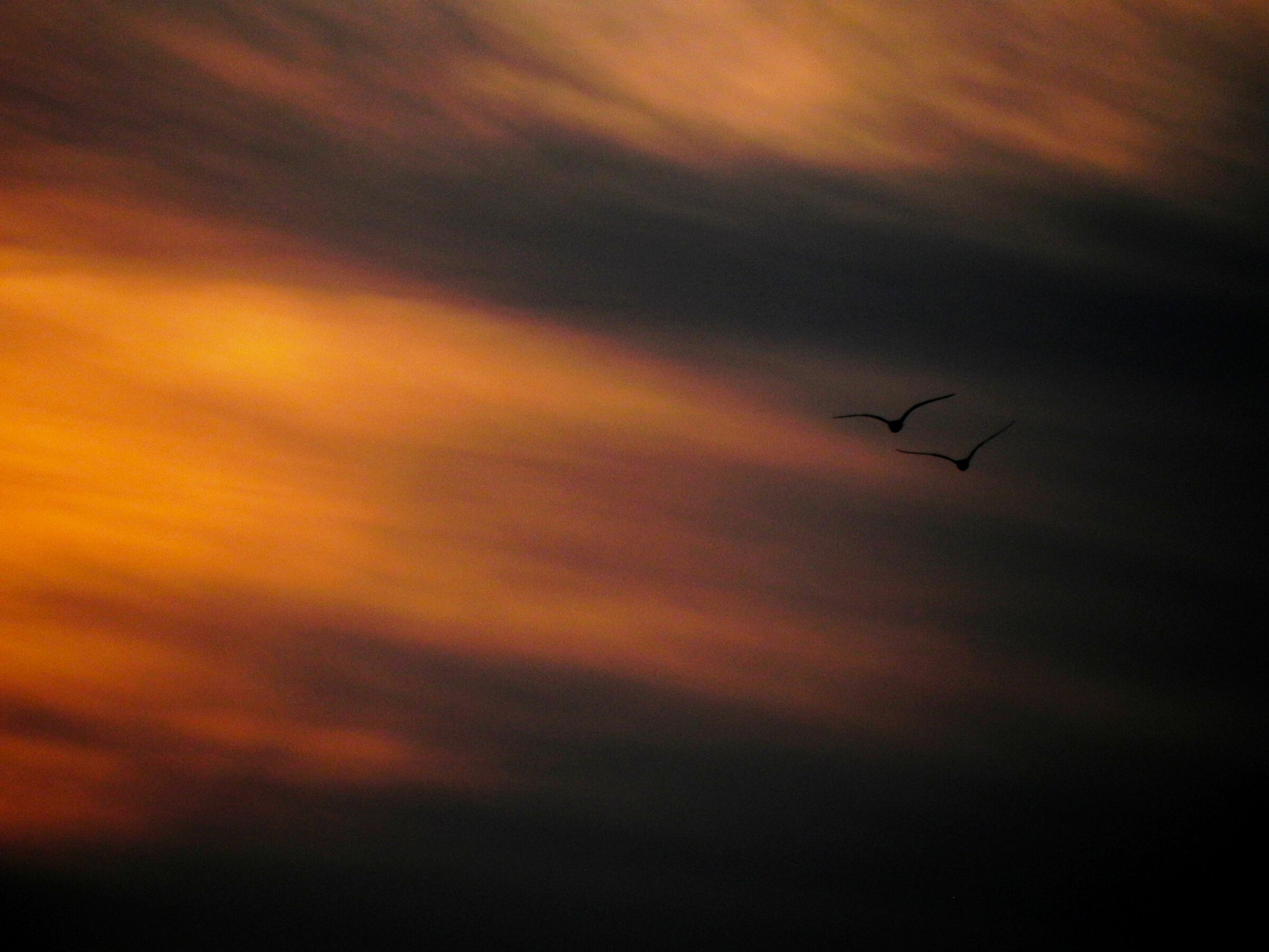 Tramonto