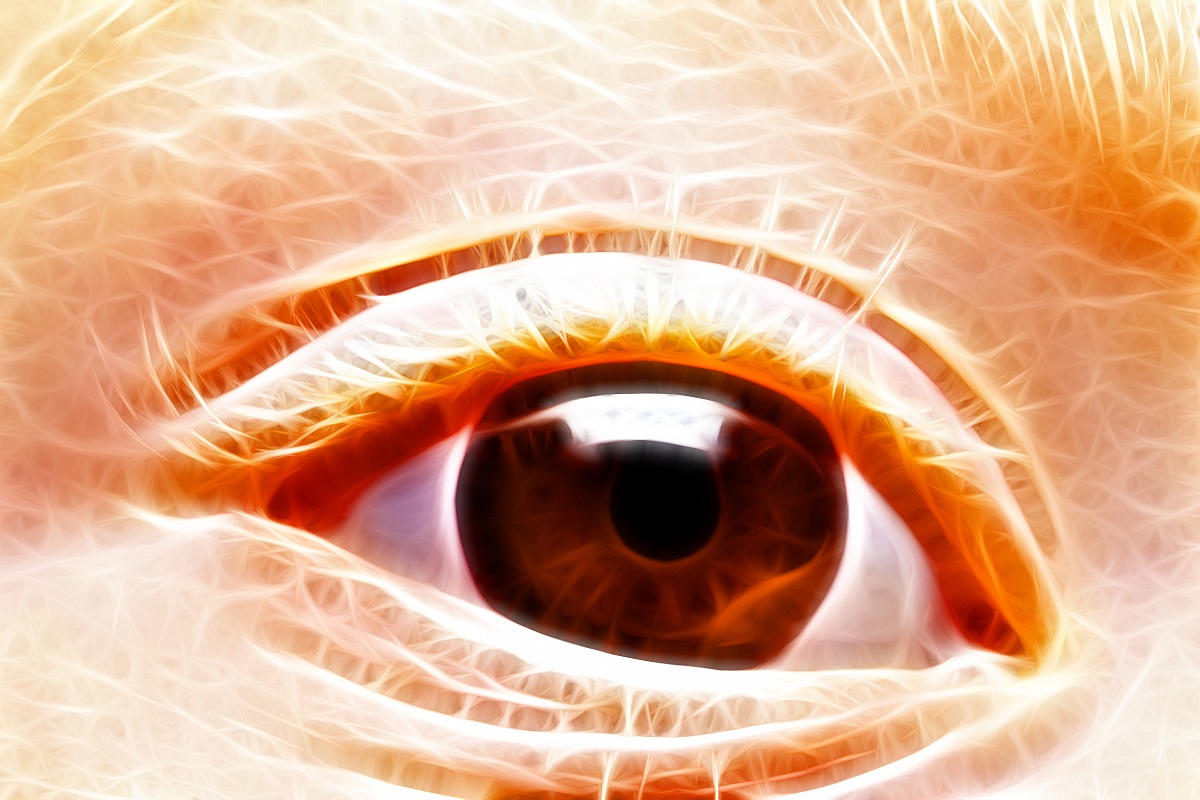 Eye
