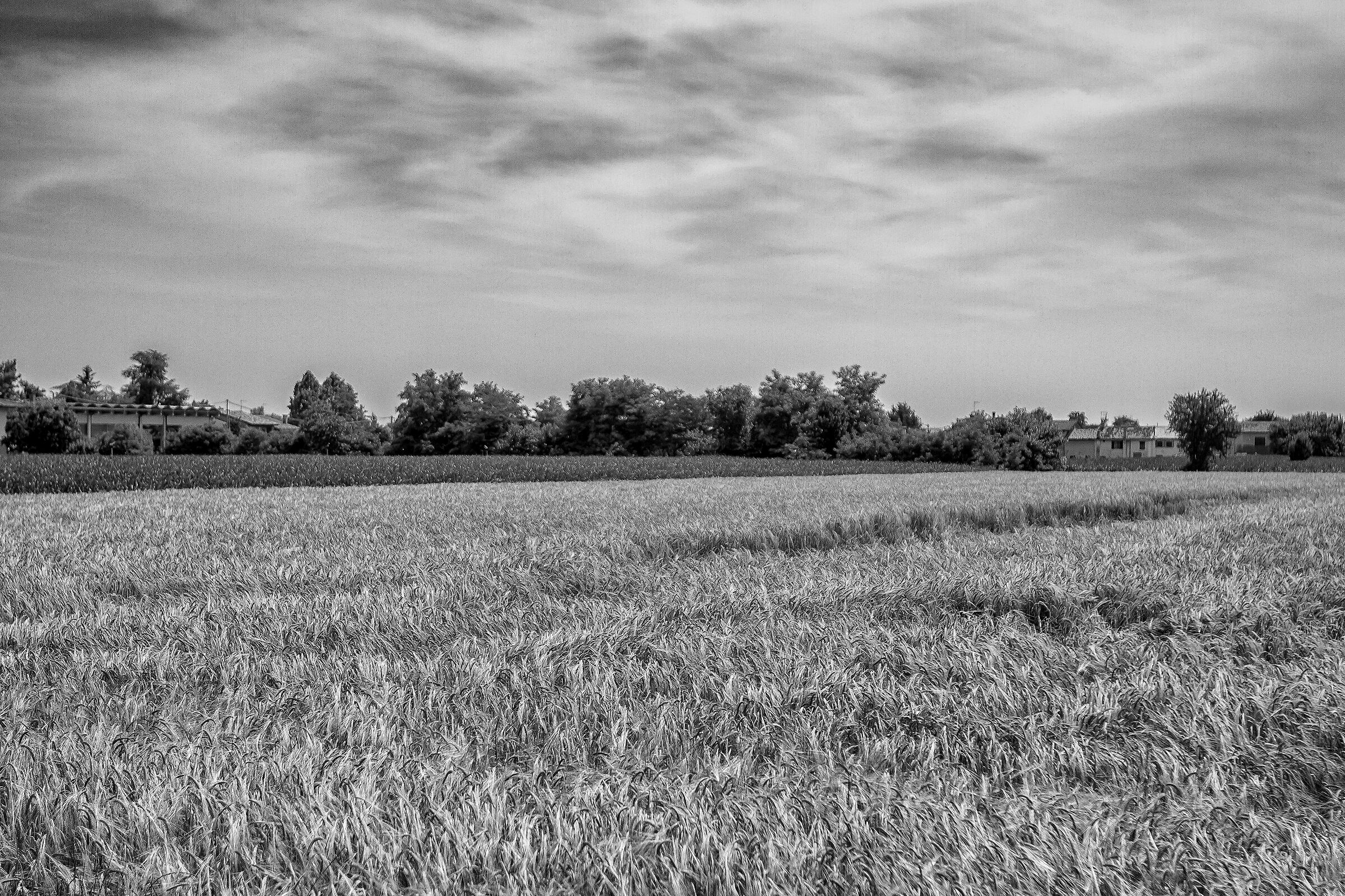 Campagna Veneta B&W