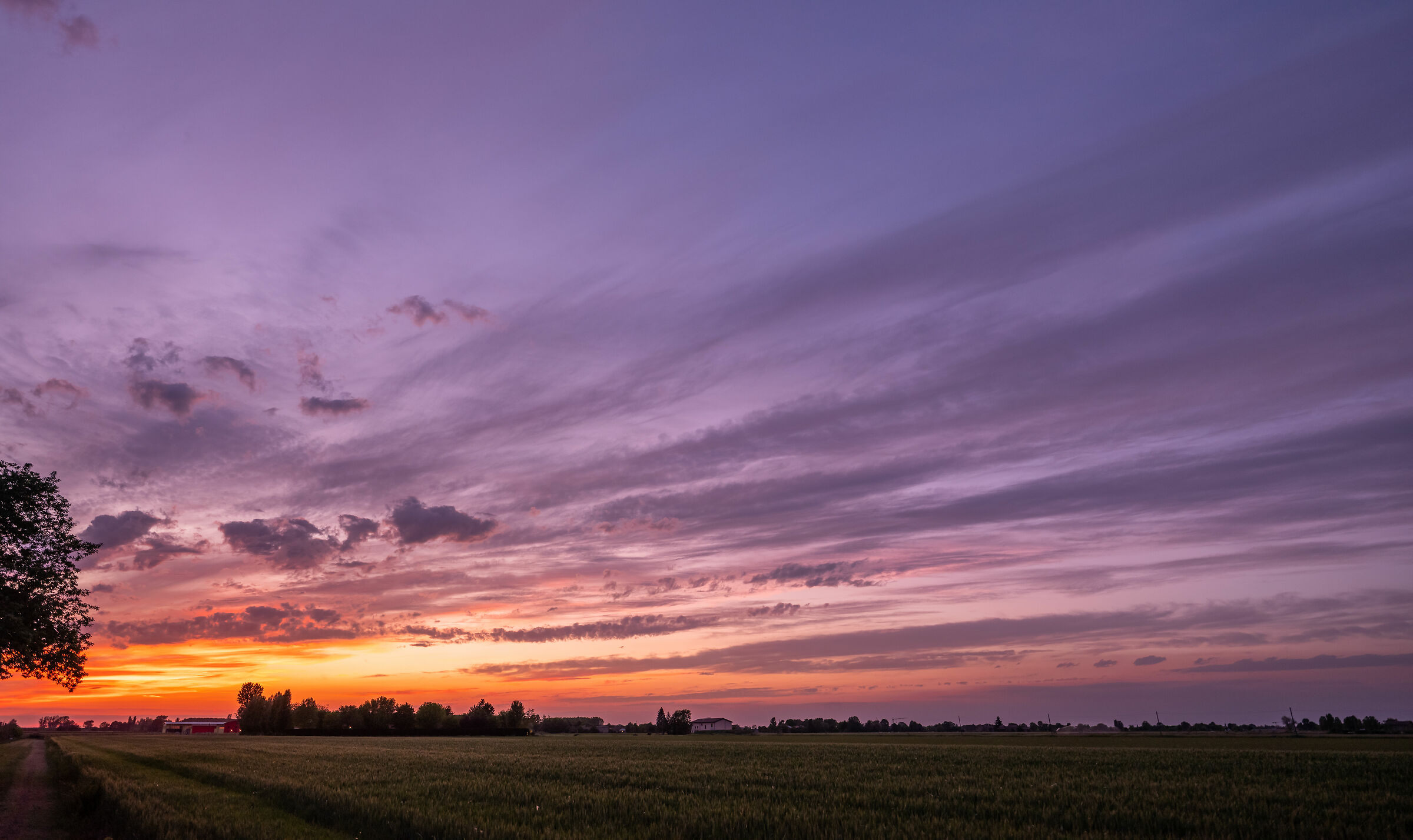 Trasversale.........