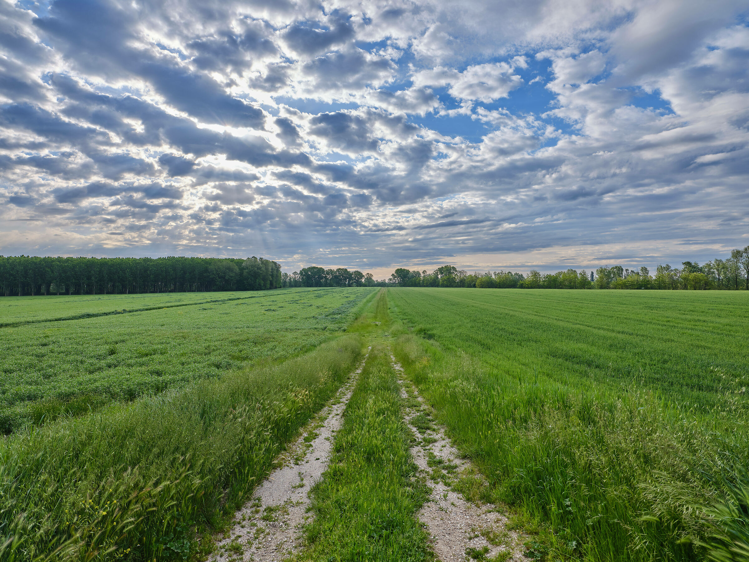The path that leads beyond