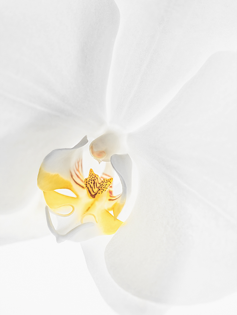 Le luci e le ombre sono tutto