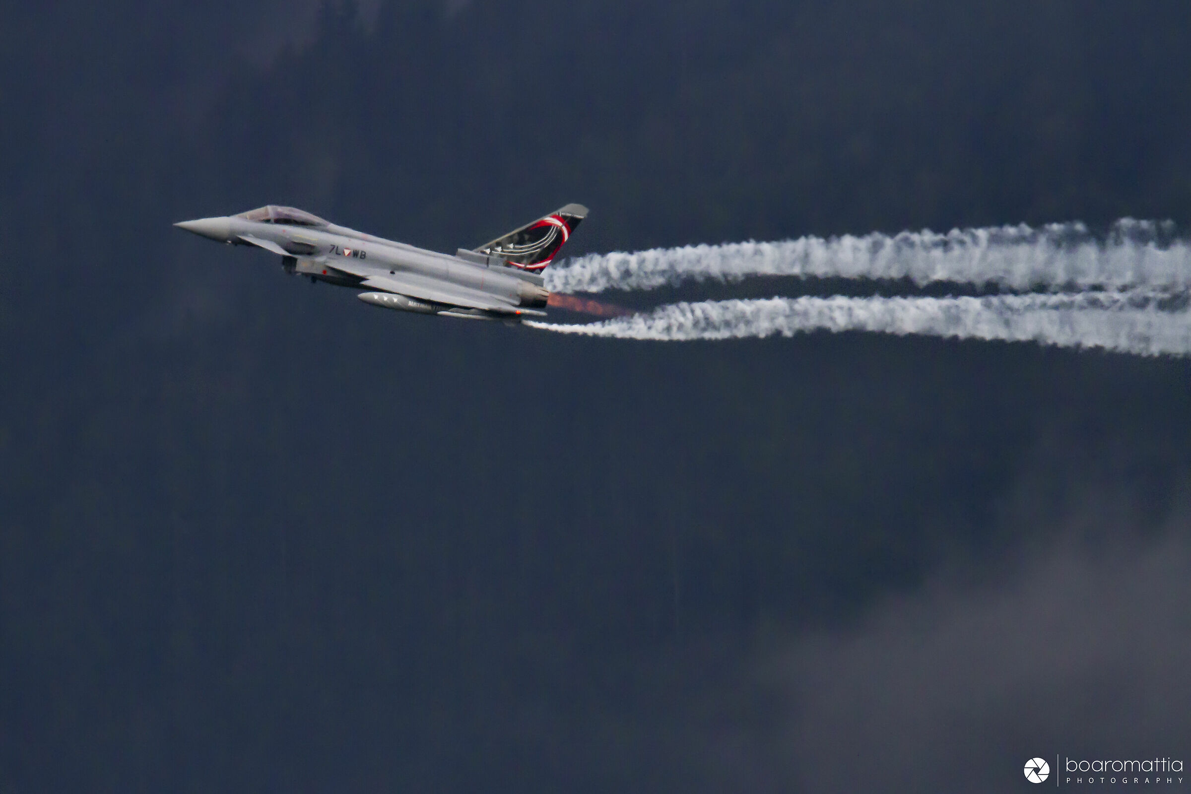 Eurofighter Typhoon Special Color