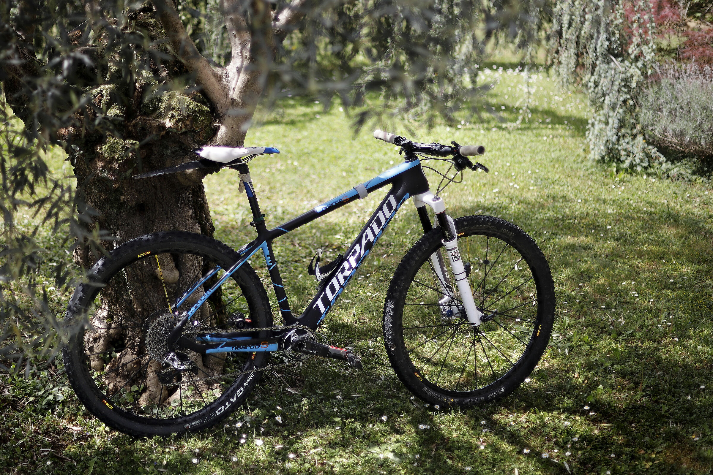 il riposo del destriero