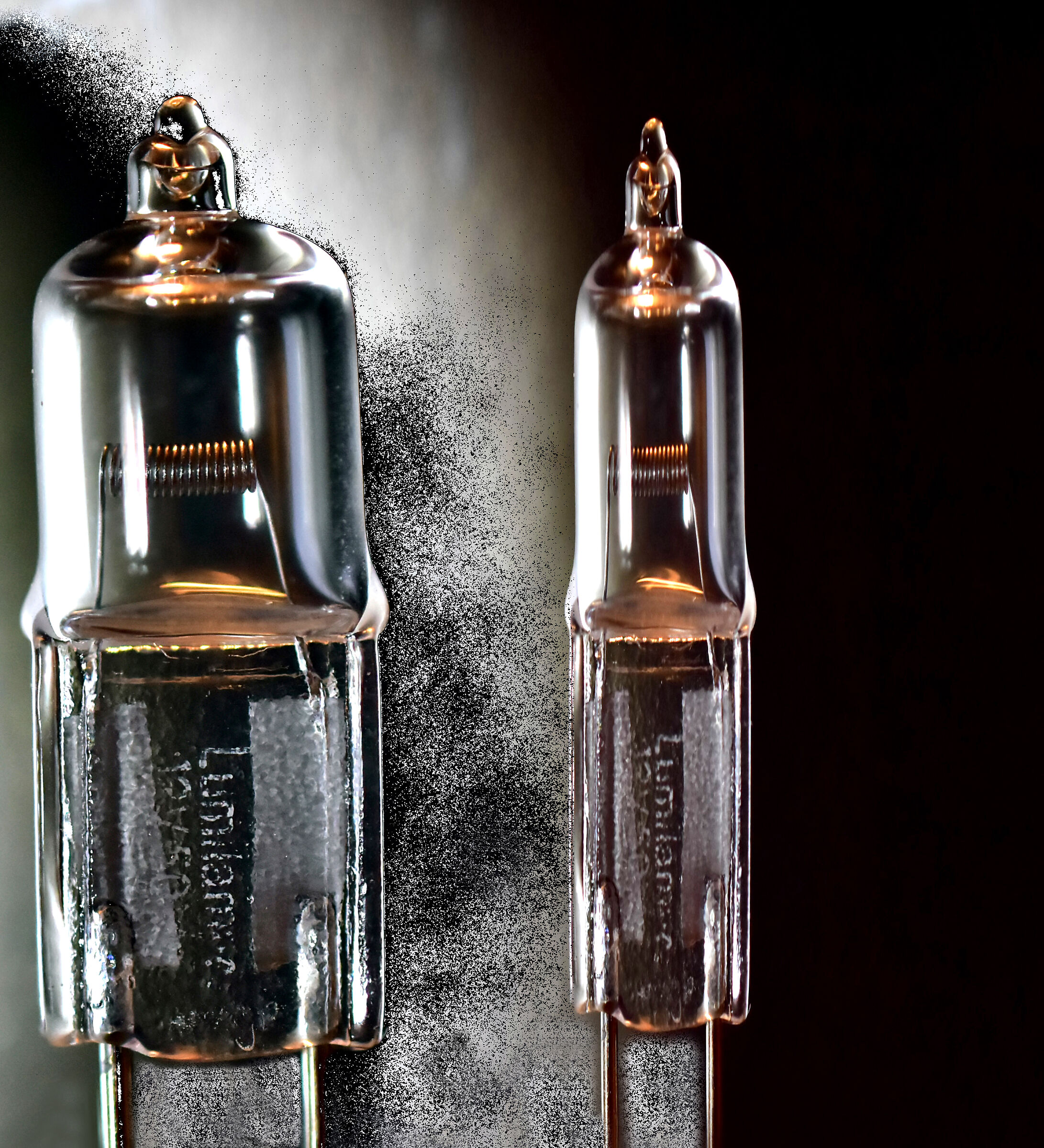 Still light - Father and son