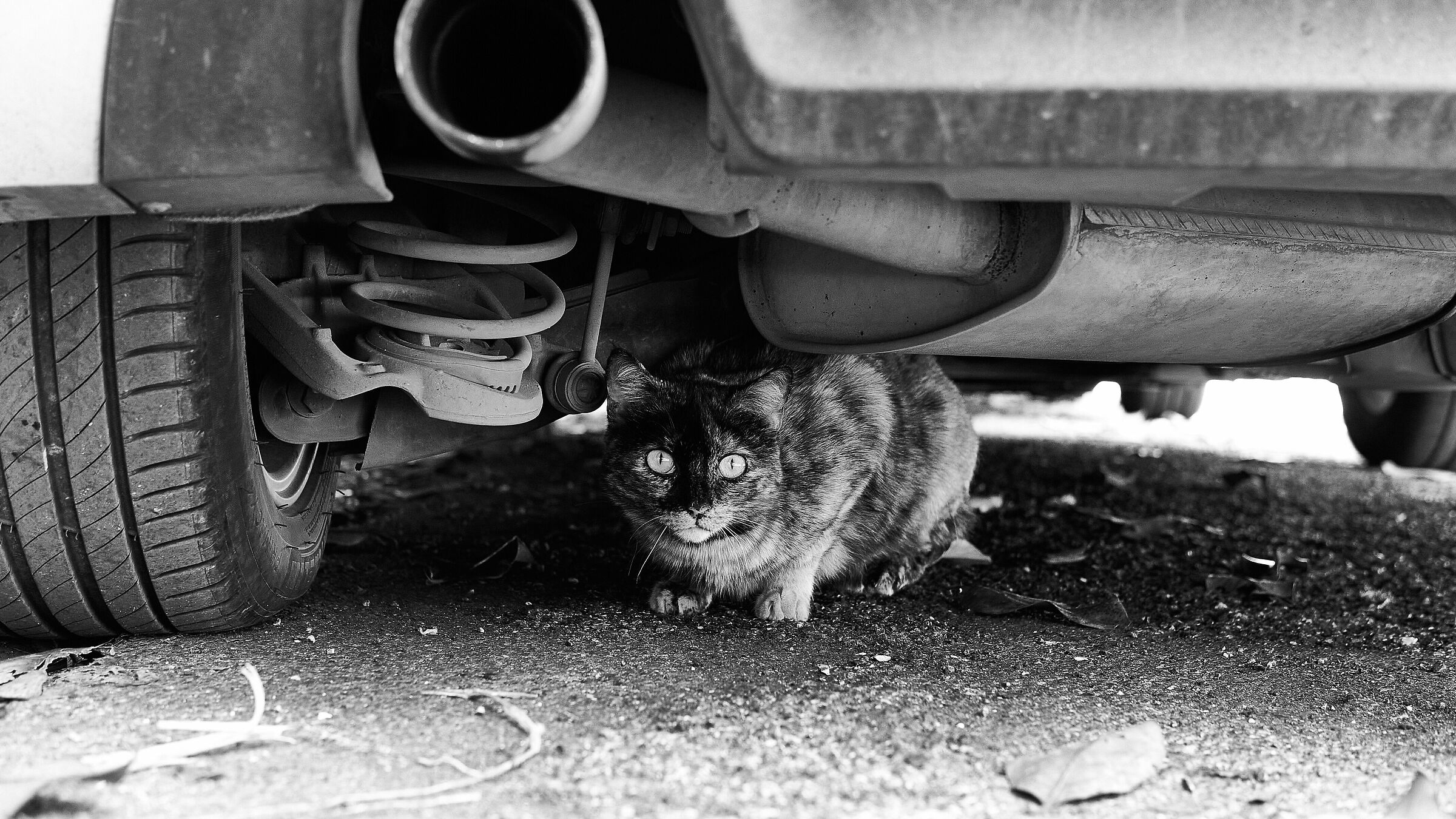 Urban ambush