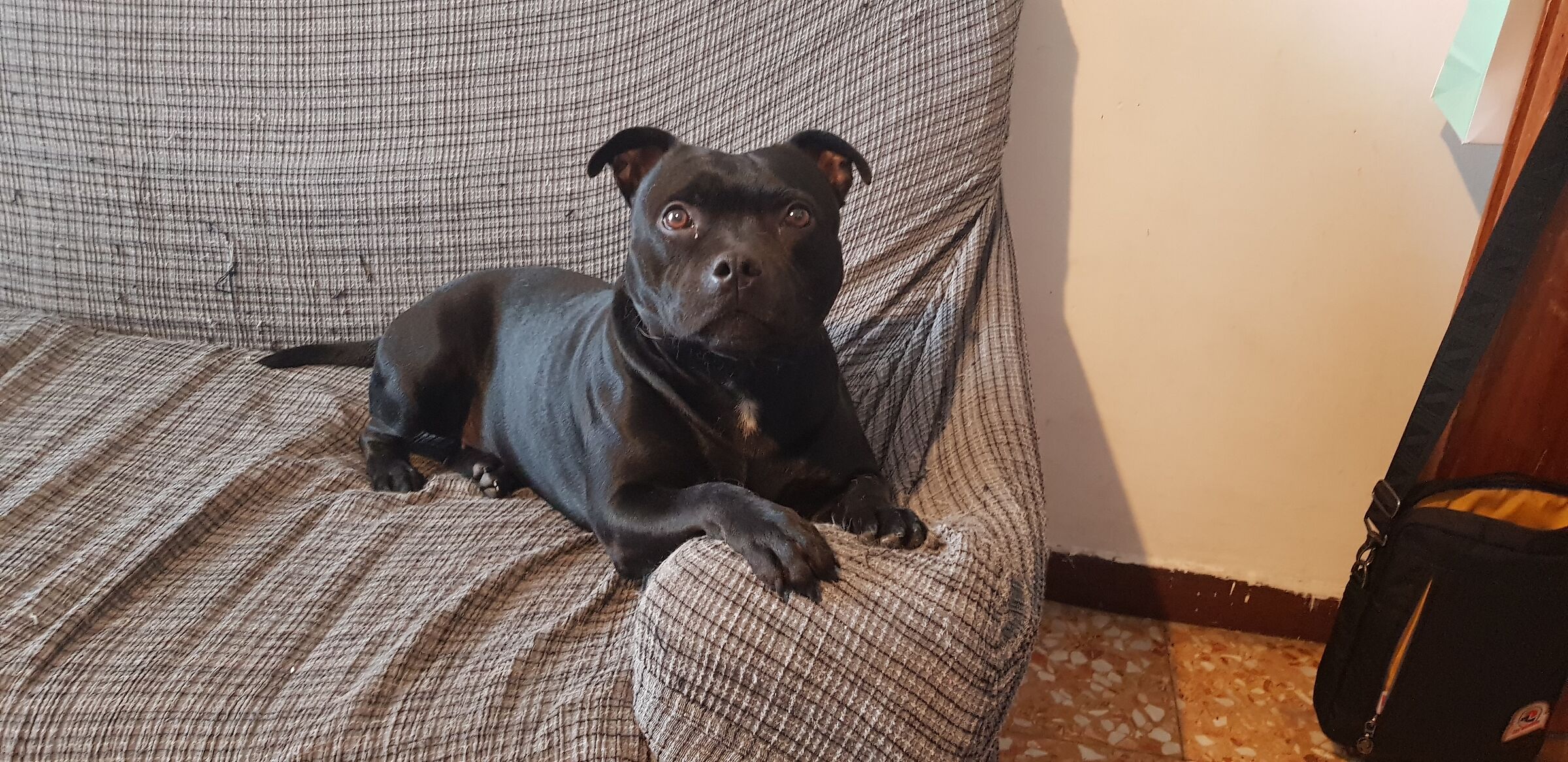 Did you say cookie?,,,,??????