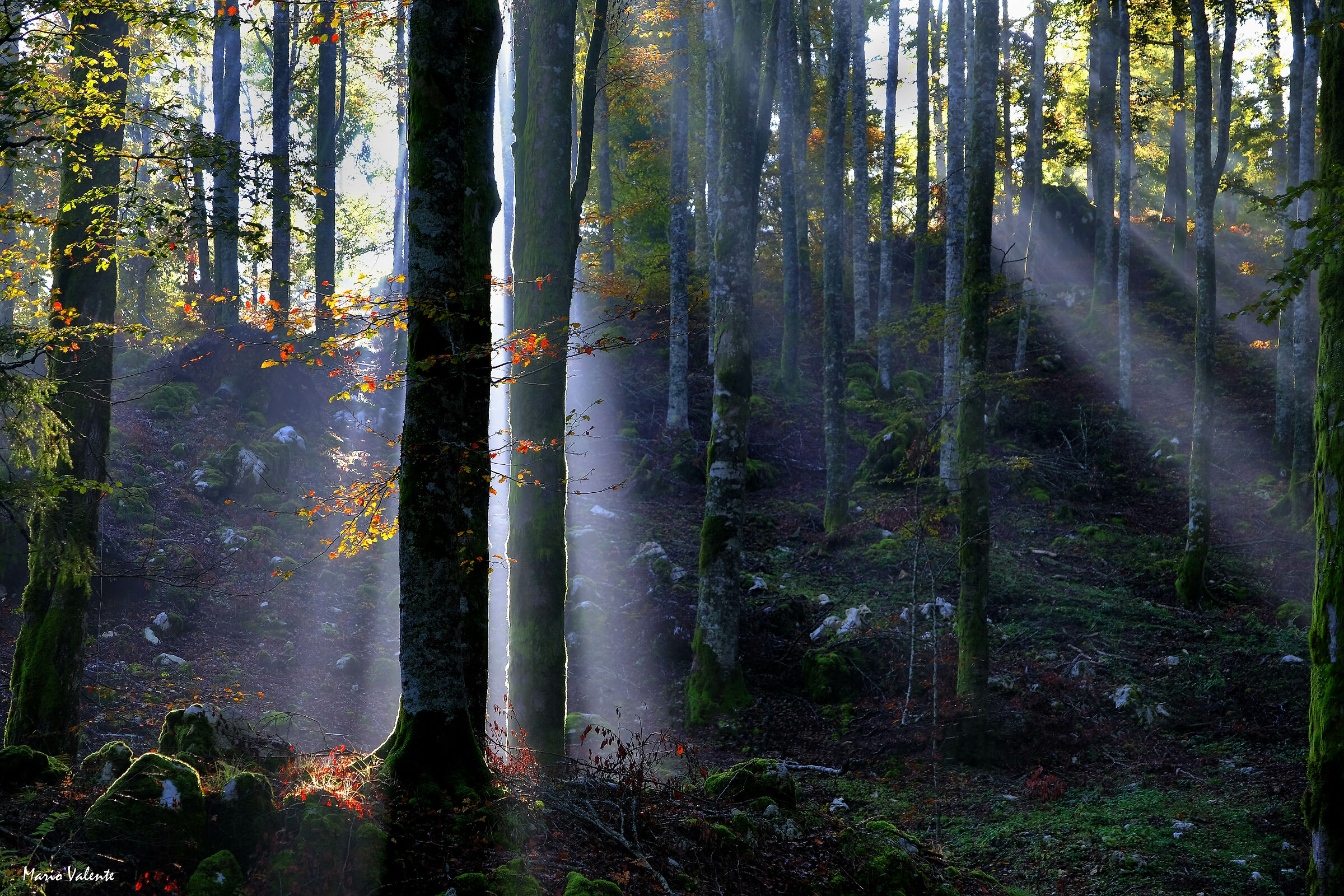 In the early morning beeath