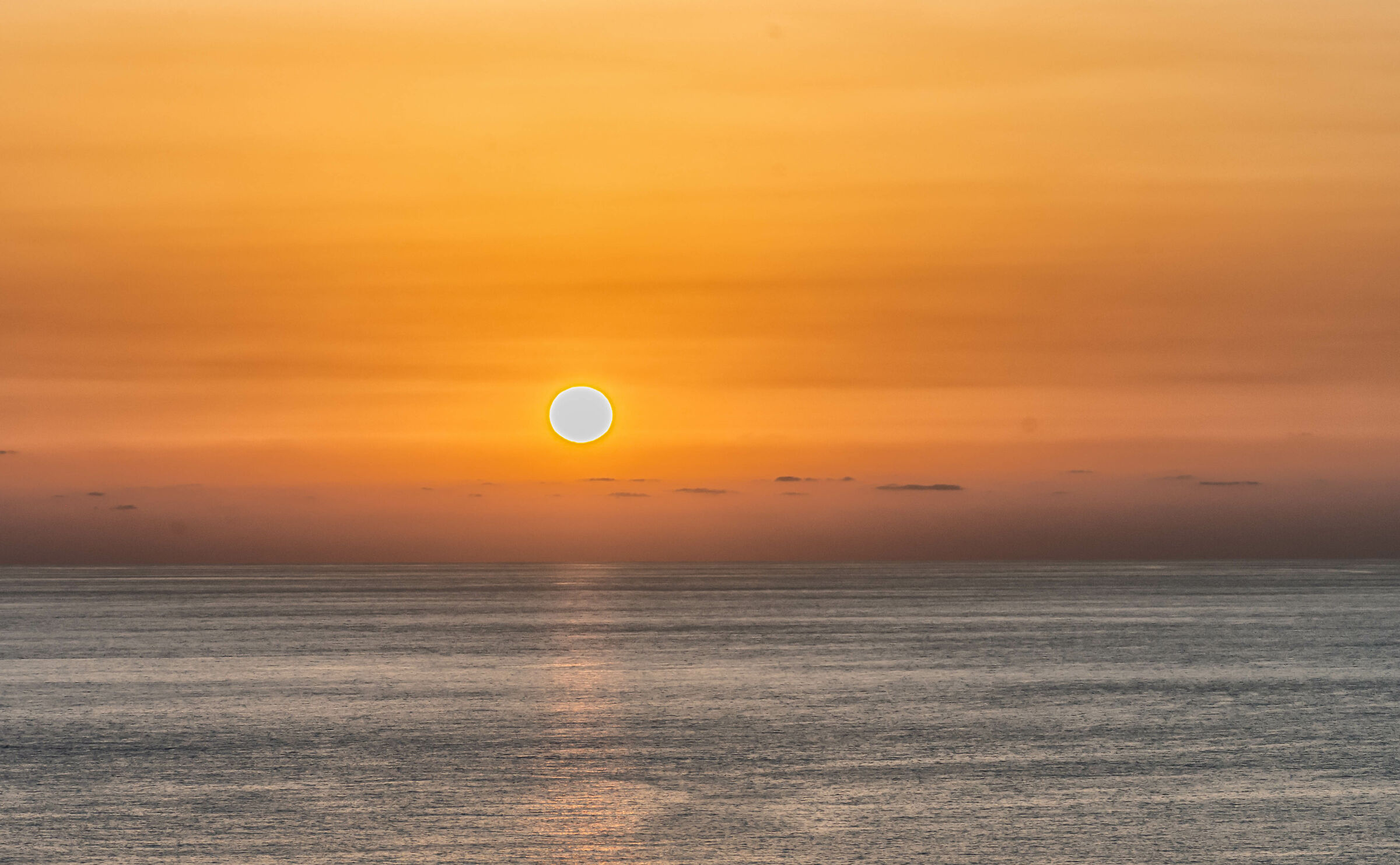 From Our Home at Lockdown