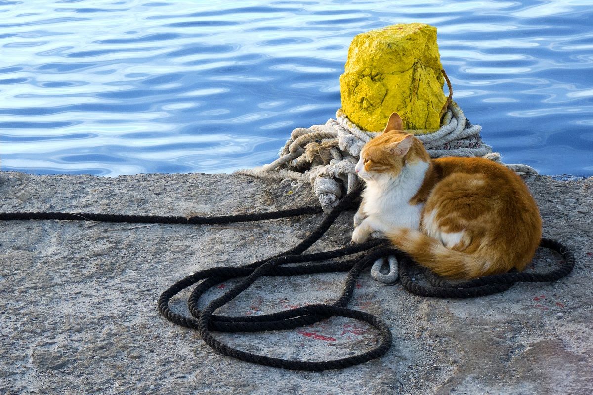 \ \ Ssitting on the dock of the bay