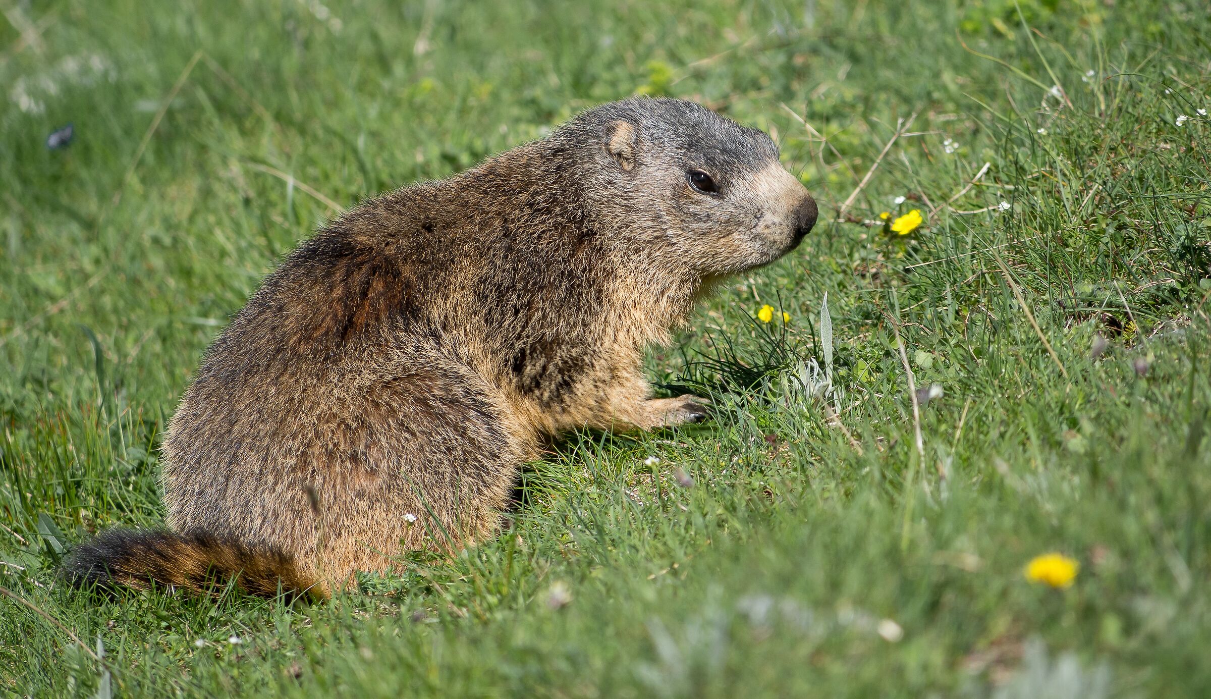 I think I'm going to see you next year, I'm sorry...