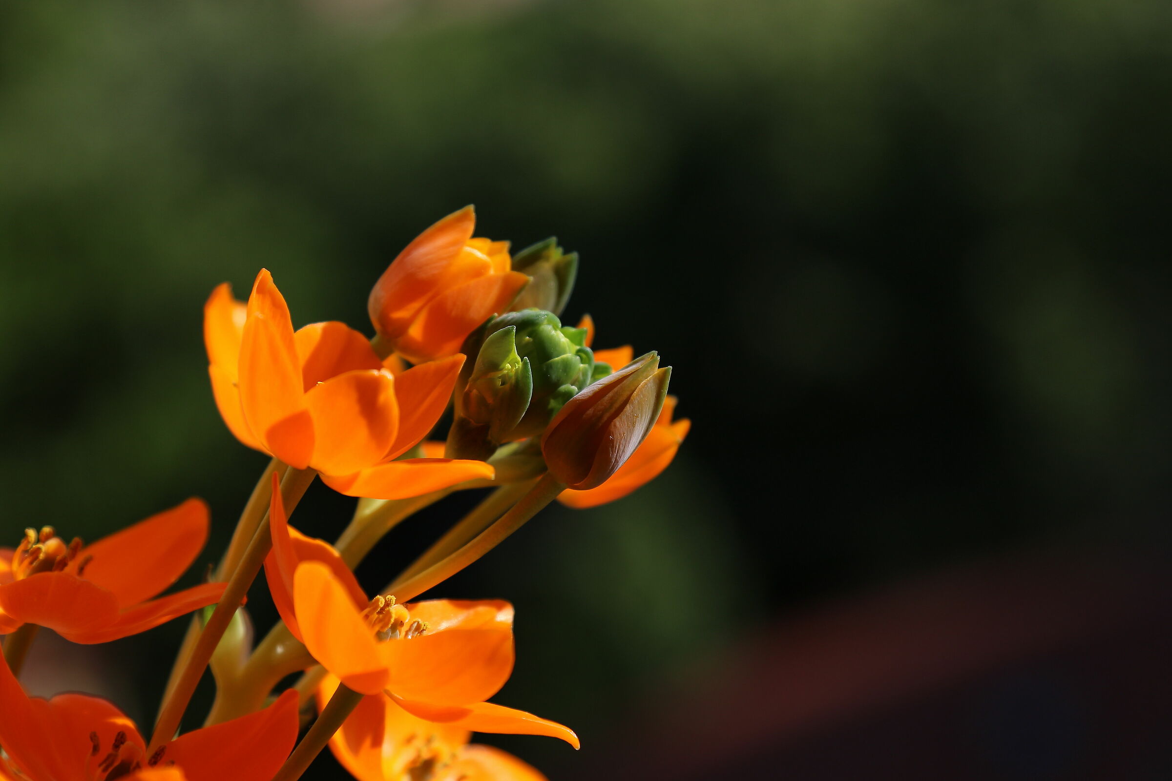 finche' c'e' vita c'e' speranza.......