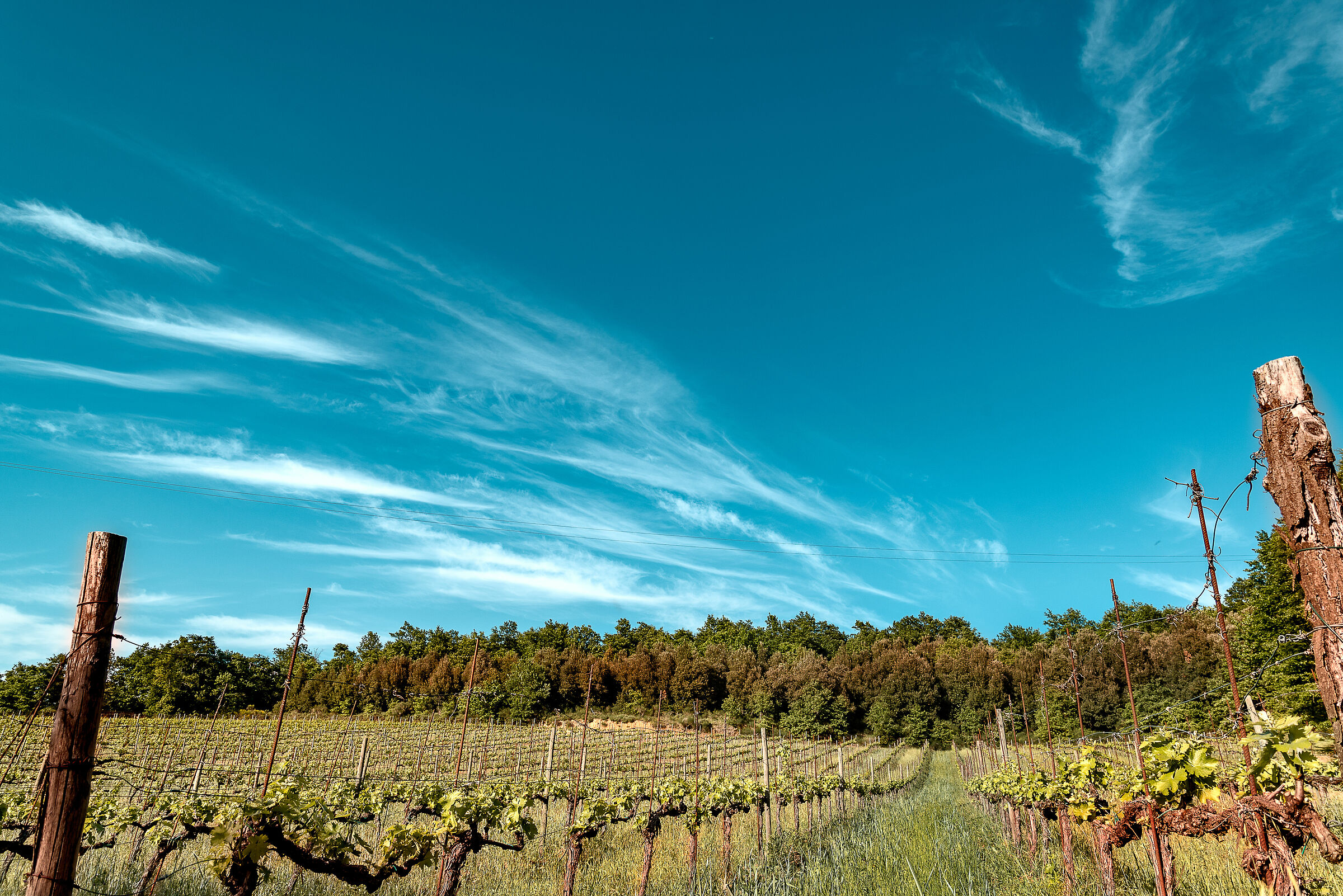 ma i cieli delle colline umbre ..?