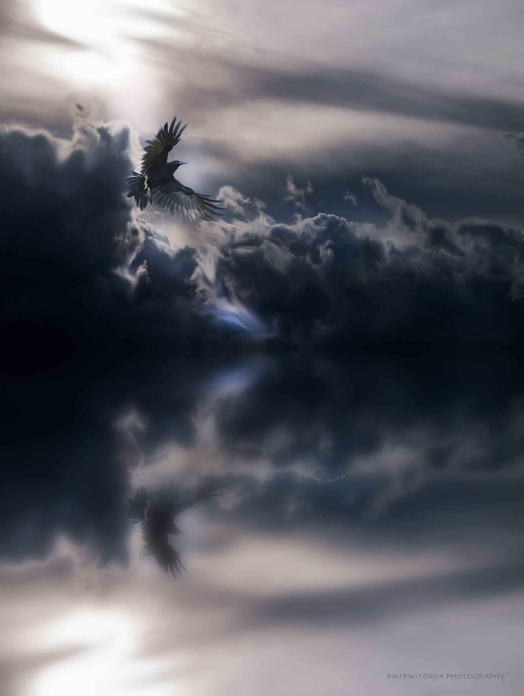 The Crow and Its Flight