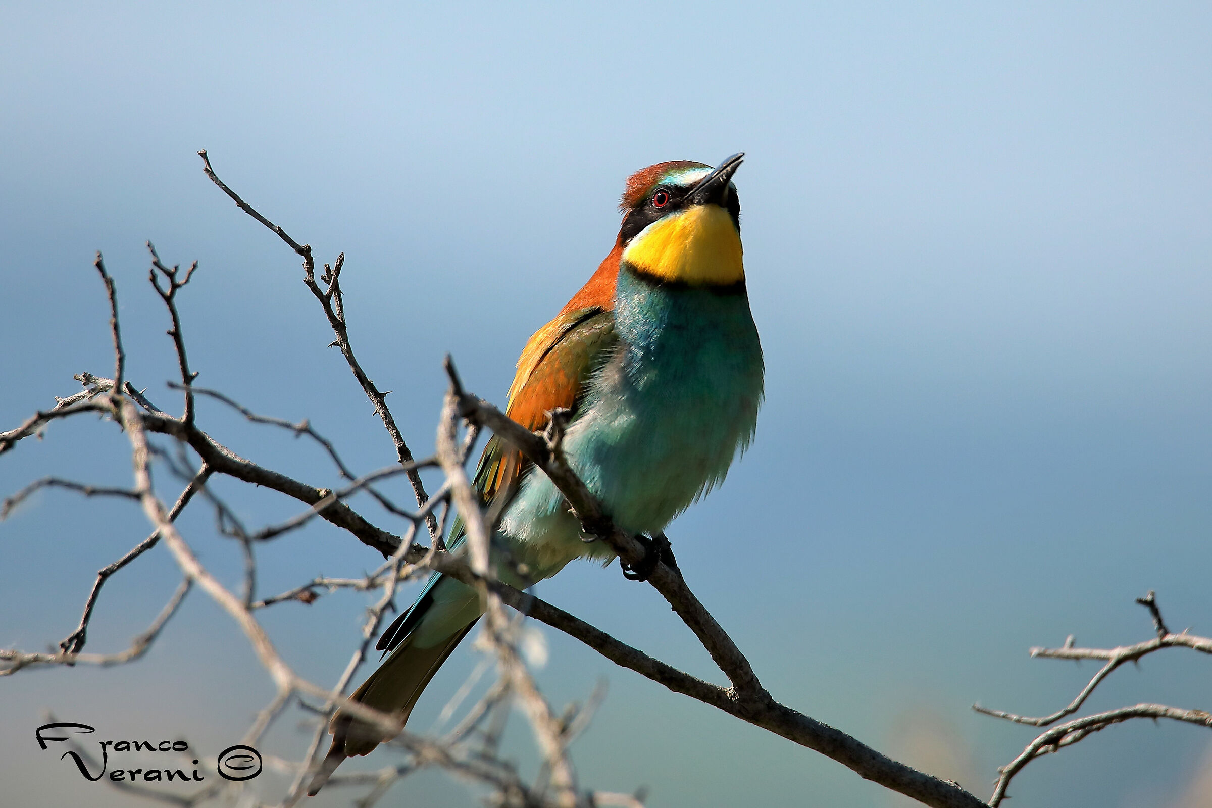 Parco del taro e del ceno