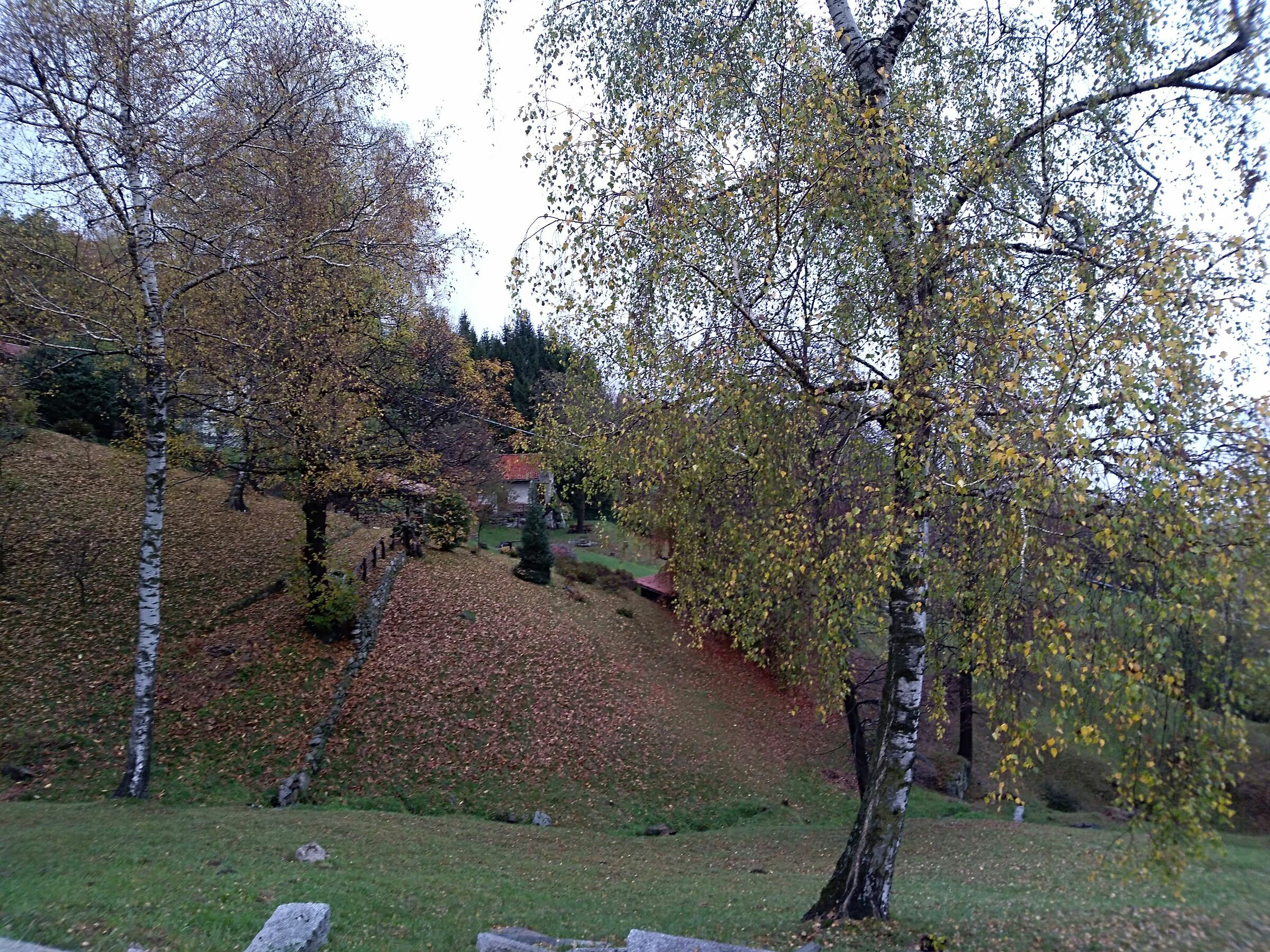 Civenna to M. San Primo